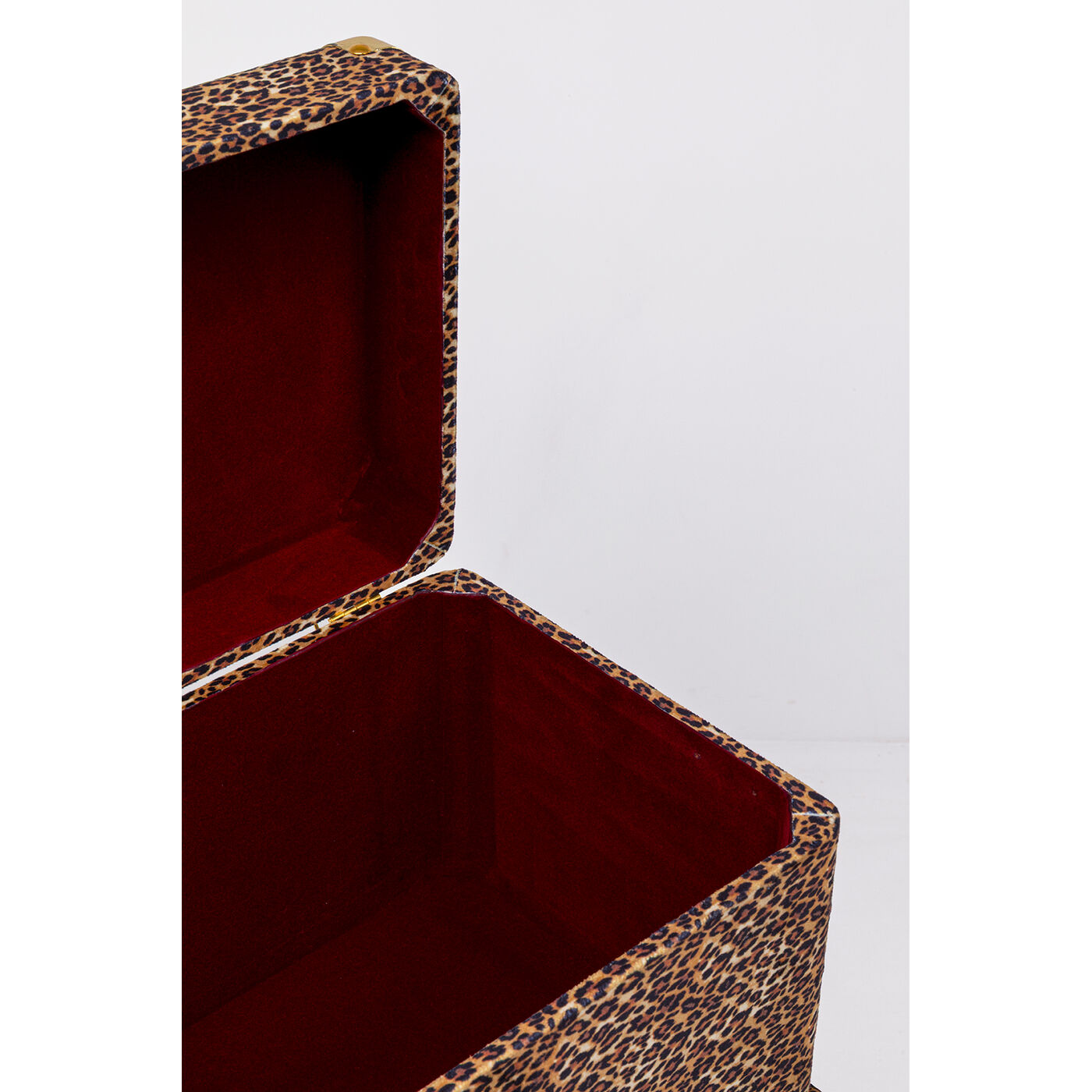 Шкатулка Wild Animal Leo «Лев» (набор из 3 шт.) от KARE Design