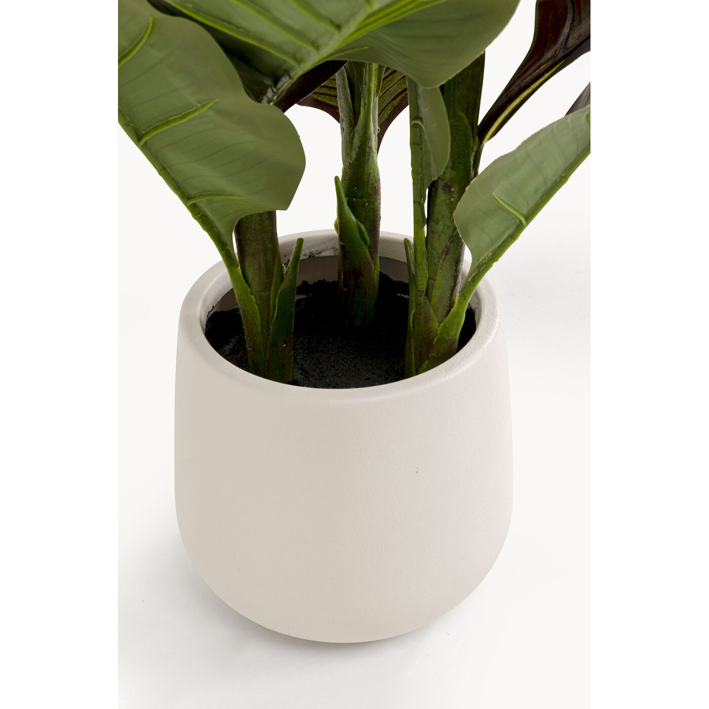 Растение декоративное Canna Lily «Канна-лилия» 165 см от KARE Design