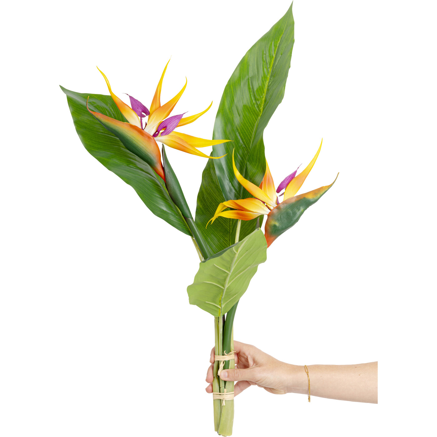 Растение декоративное Paradise Bird «Птица рая» 70 см от KARE Design