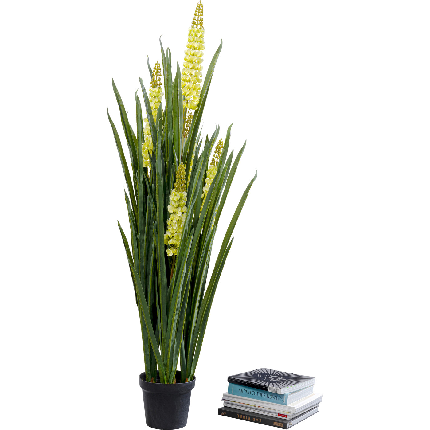 Растение декоративное Rhynchostylis «Ринхостилис» 55 см от KARE Design