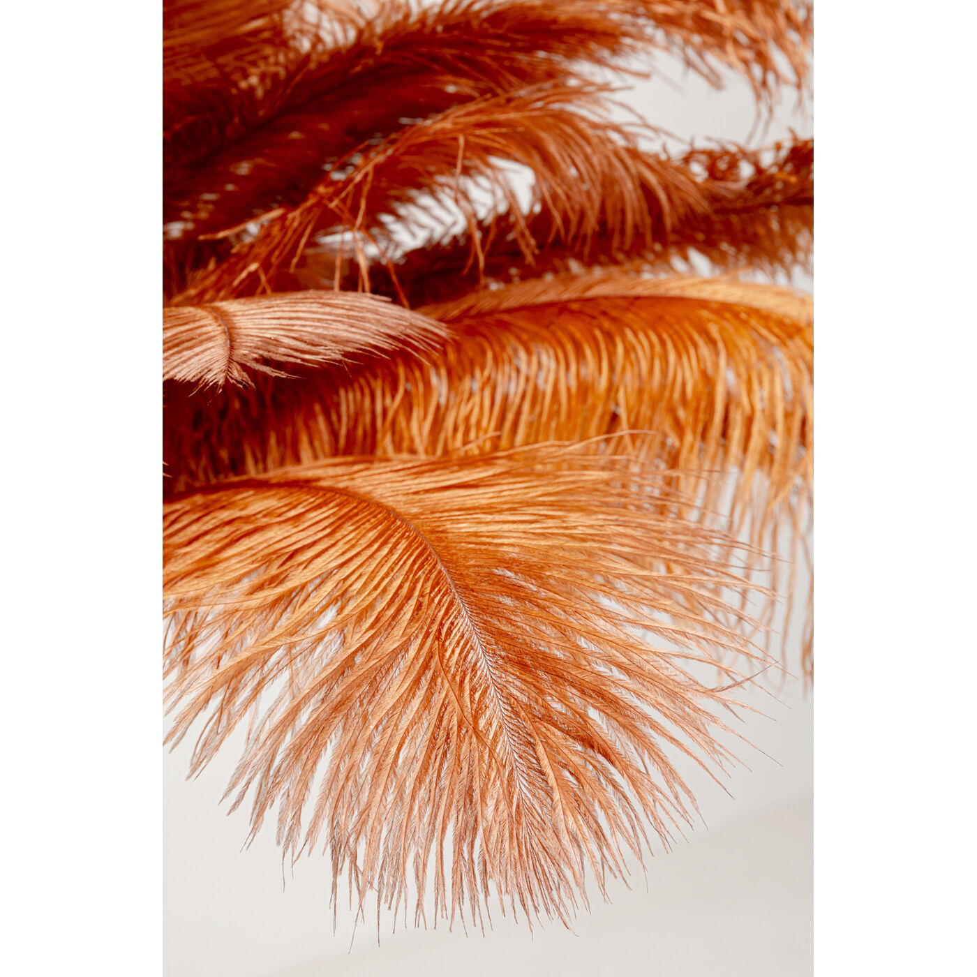 Светильник напольный Feather Palm Brown 165 см от KARE Design