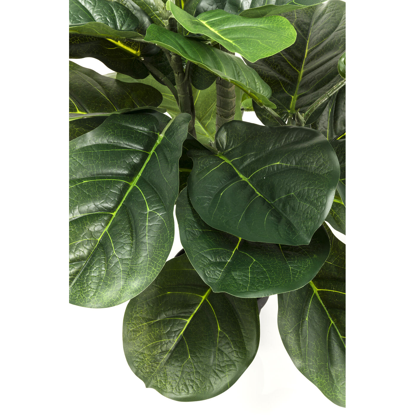Растение декоративное Fiddle Leaf «Скрипичный лист» 120 см от KARE Design