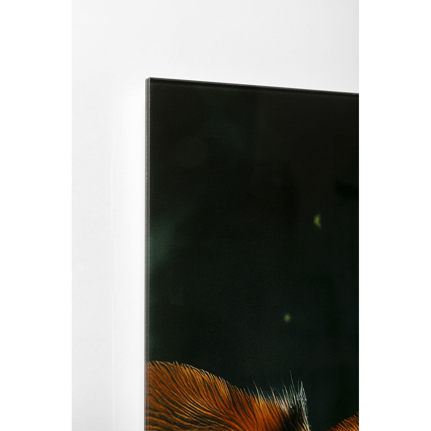 Картина стеклянная Astronauts Dogs «Собаки-космонавты» 80x60 см от KARE Design