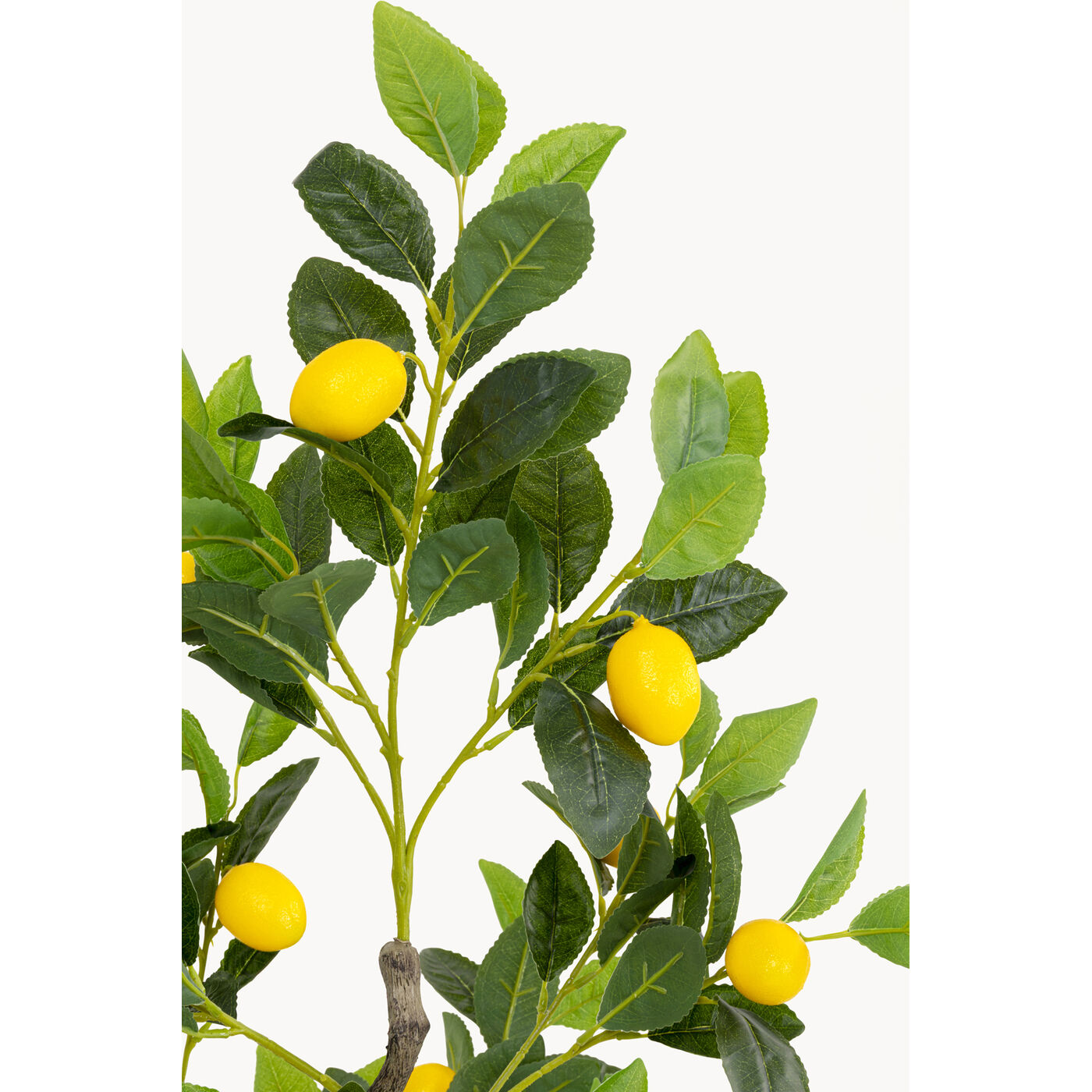 Растение декоративное Lemon Tree «Лимонное дерево» 120 см от KARE Design