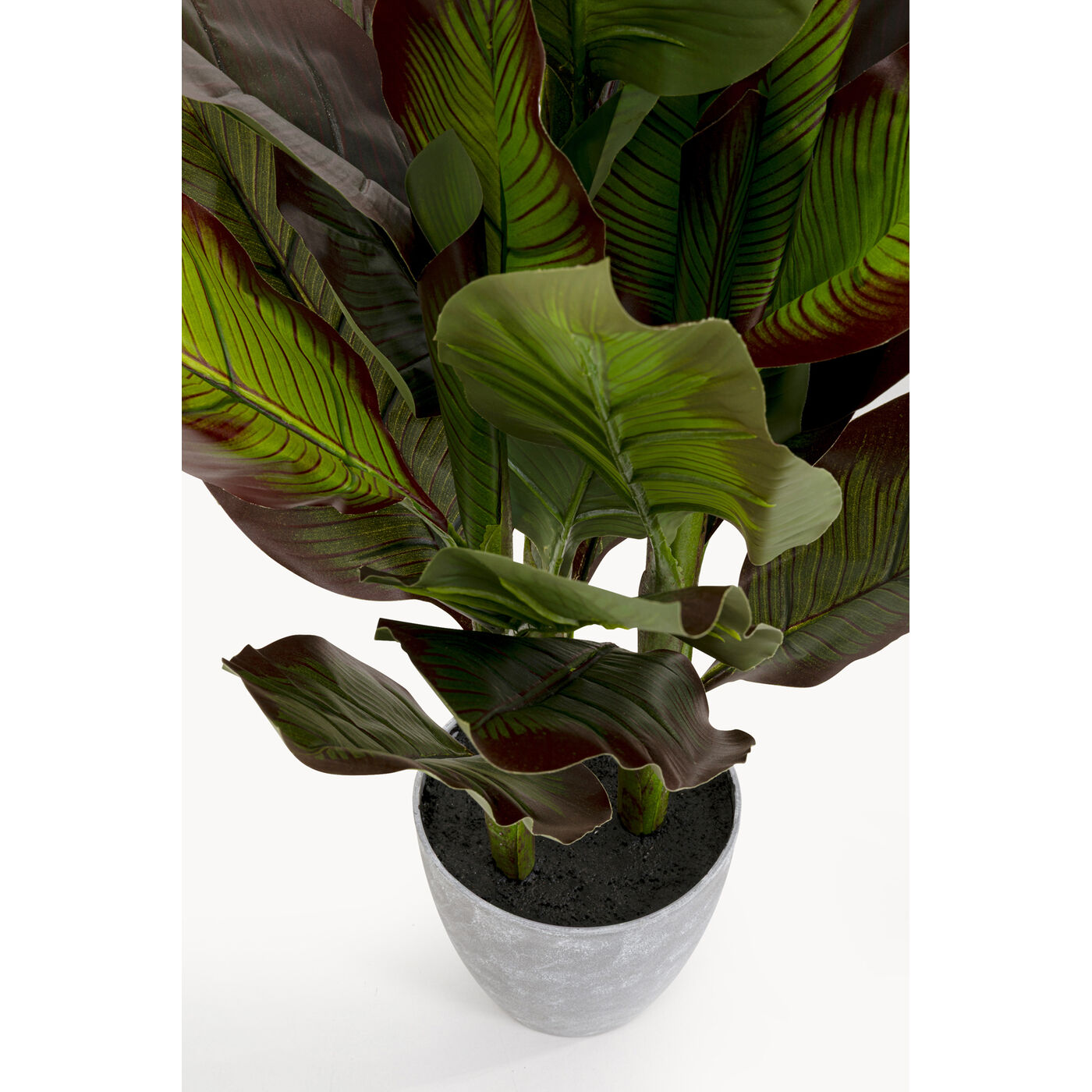 Растение декоративное Canna Lily «Канна-лилия» 115 см от KARE Design