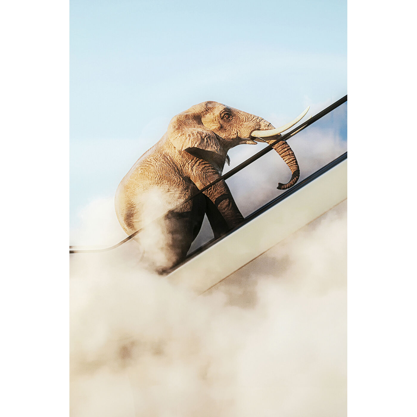 Картина в раме Elephant In The Sky «Слон в небе» 150x100 см от KARE Design