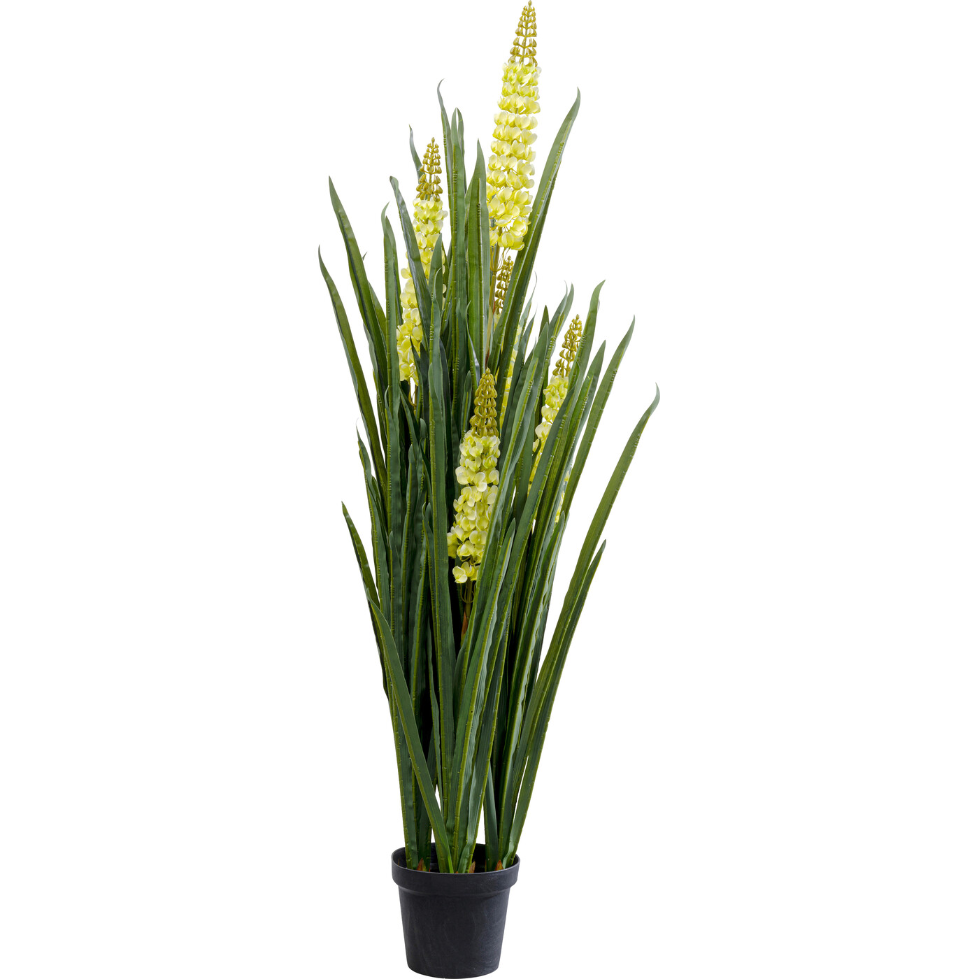 Растение декоративное Rhynchostylis «Ринхостилис» 55 см от KARE Design