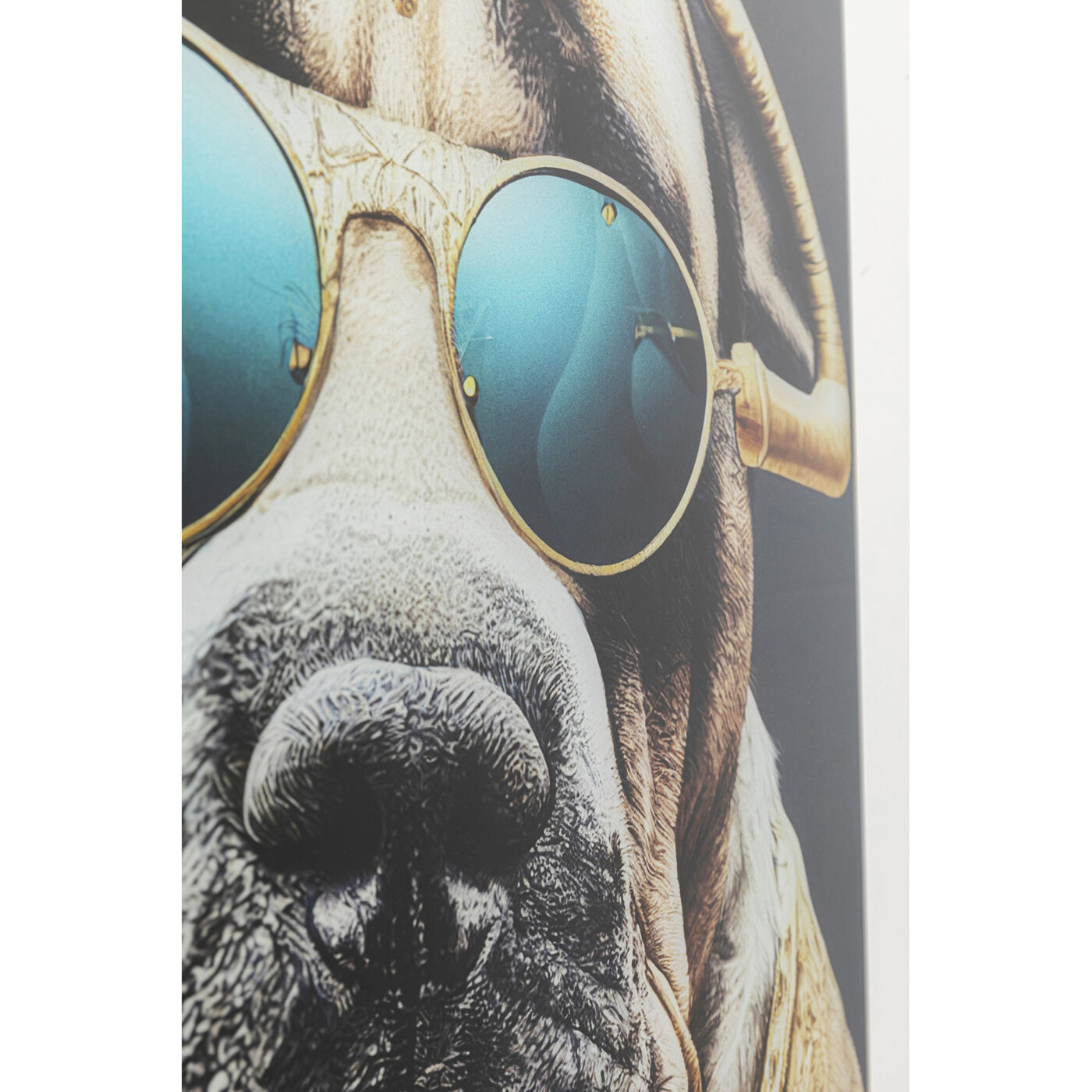 Картина стеклянная Fashion Dog «Модная собака» 60x80 см от KARE Design