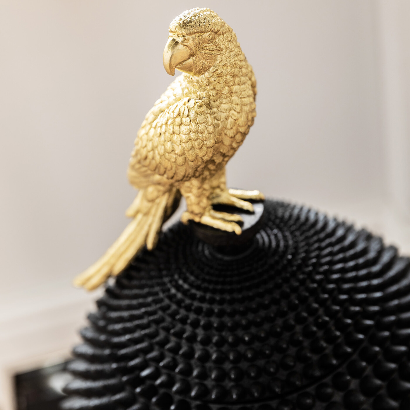 Шкатулка Parrot «Попугай» от KARE Design