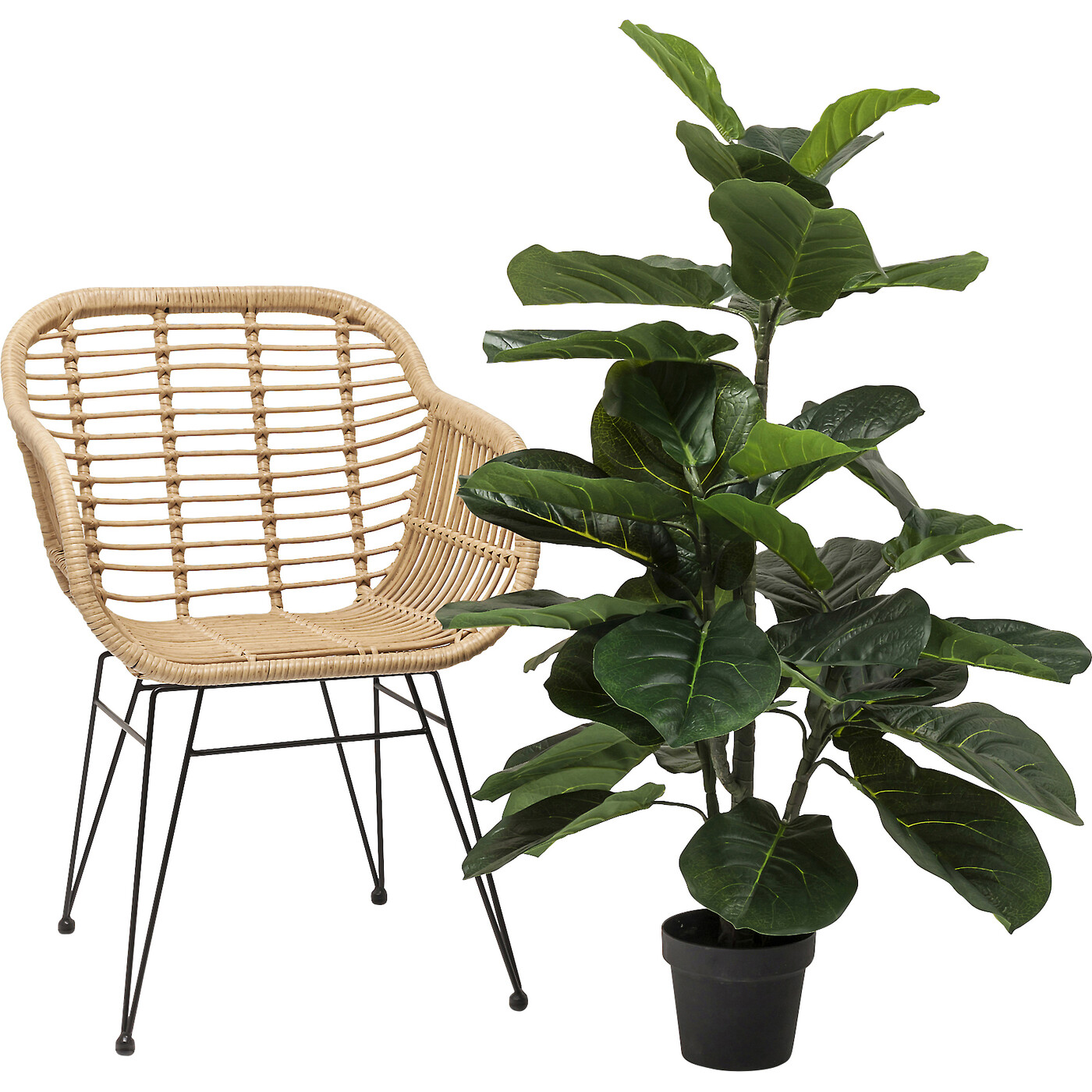 Растение декоративное Fiddle Leaf «Скрипичный лист» 120 см от KARE Design