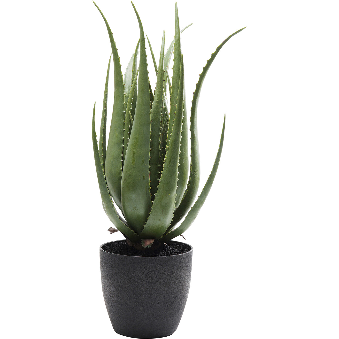 Растение декоративное Aloe «Алоэ» 69 см от KARE Design