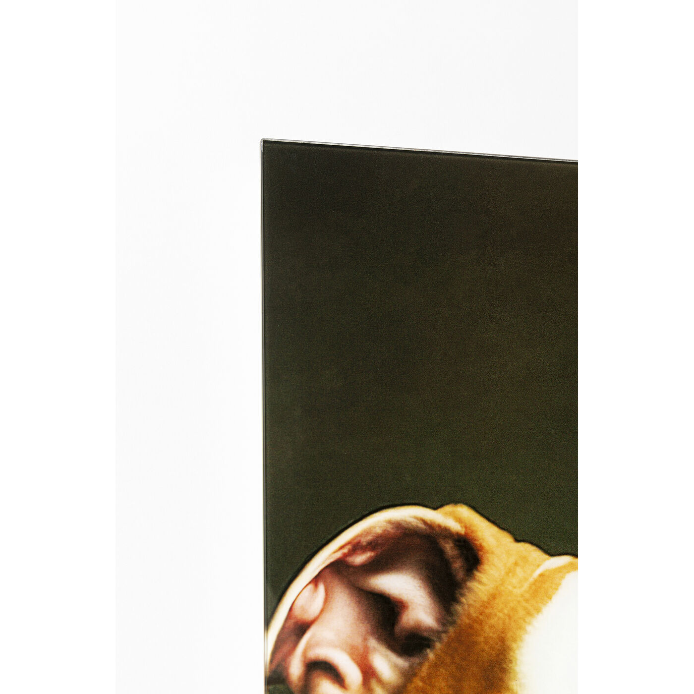 Картина стеклянная Dog Family «Семья собак» 110x90 см от KARE Design