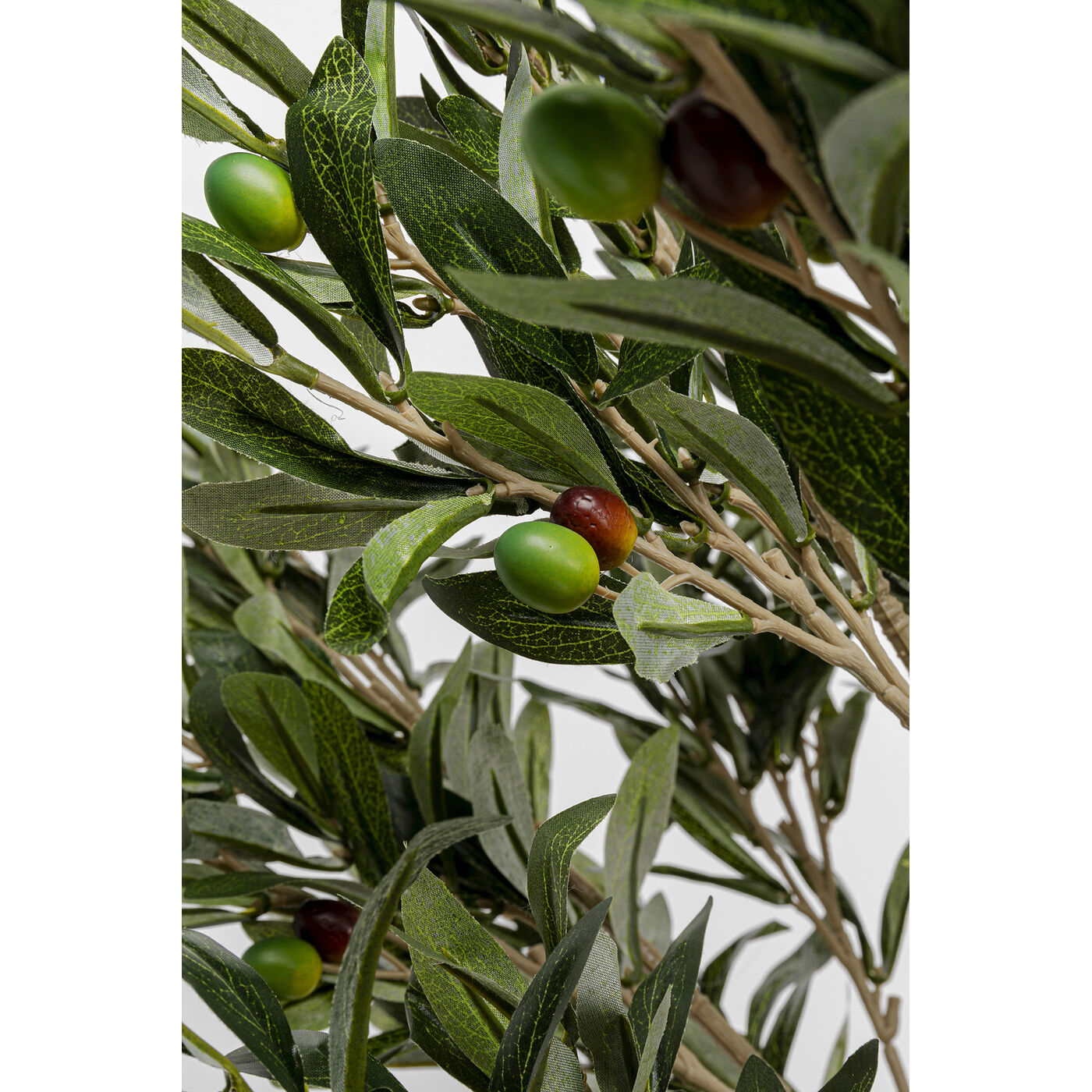 Растение декоративное Olive Tree «Оливковое дерево» 120 см от KARE Design