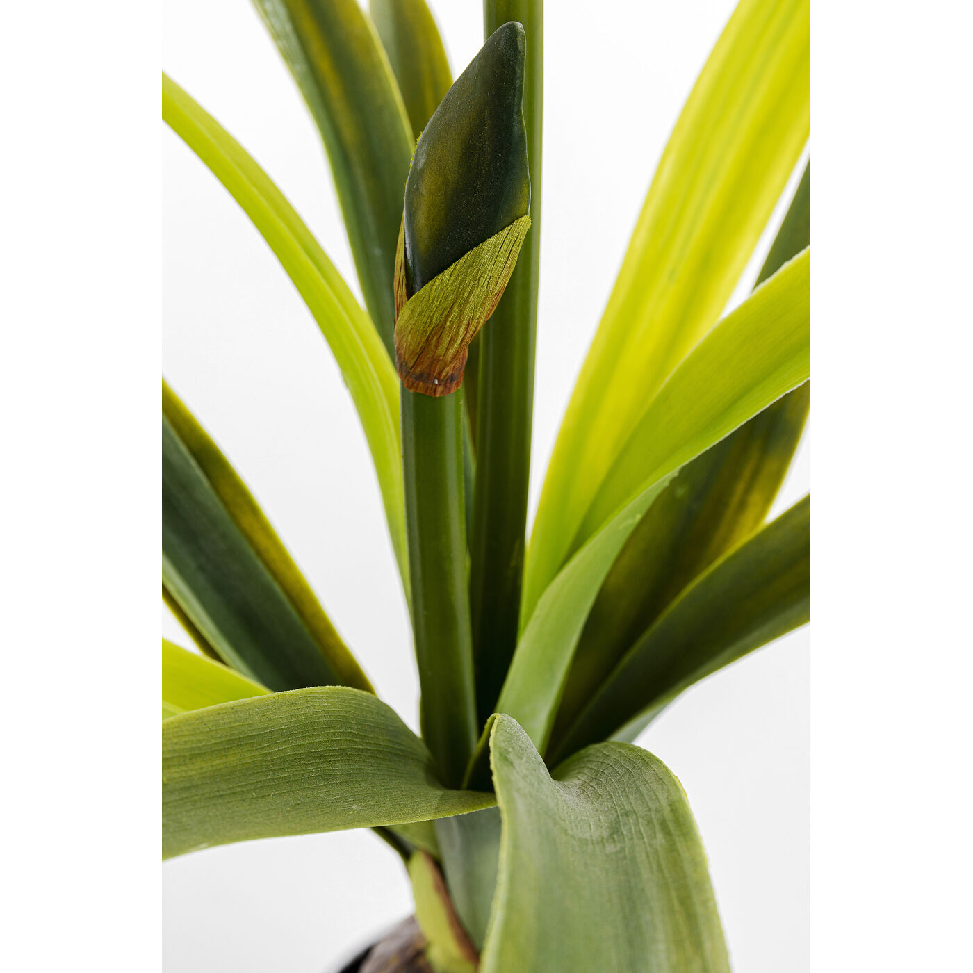 Декоративный элемент Amaryllis «Амариллис» 78 см, Белый от KARE Design