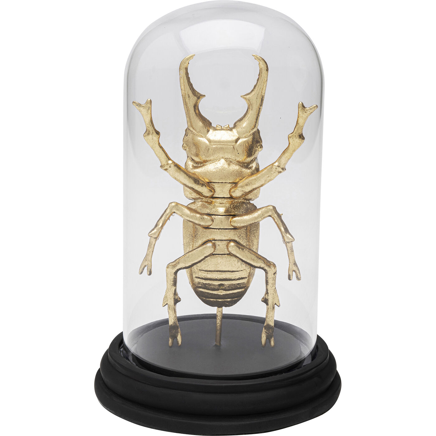 Объект декоративный Bell Jar Hercules Beetle «Жук-геркулес под колпаком» 20 см от KARE Design