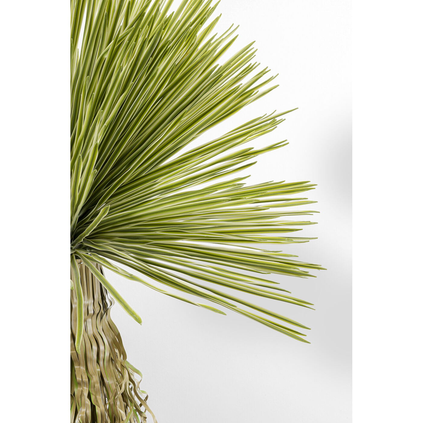 Растение декоративное Yucca «Юкка» 180 см от KARE Design