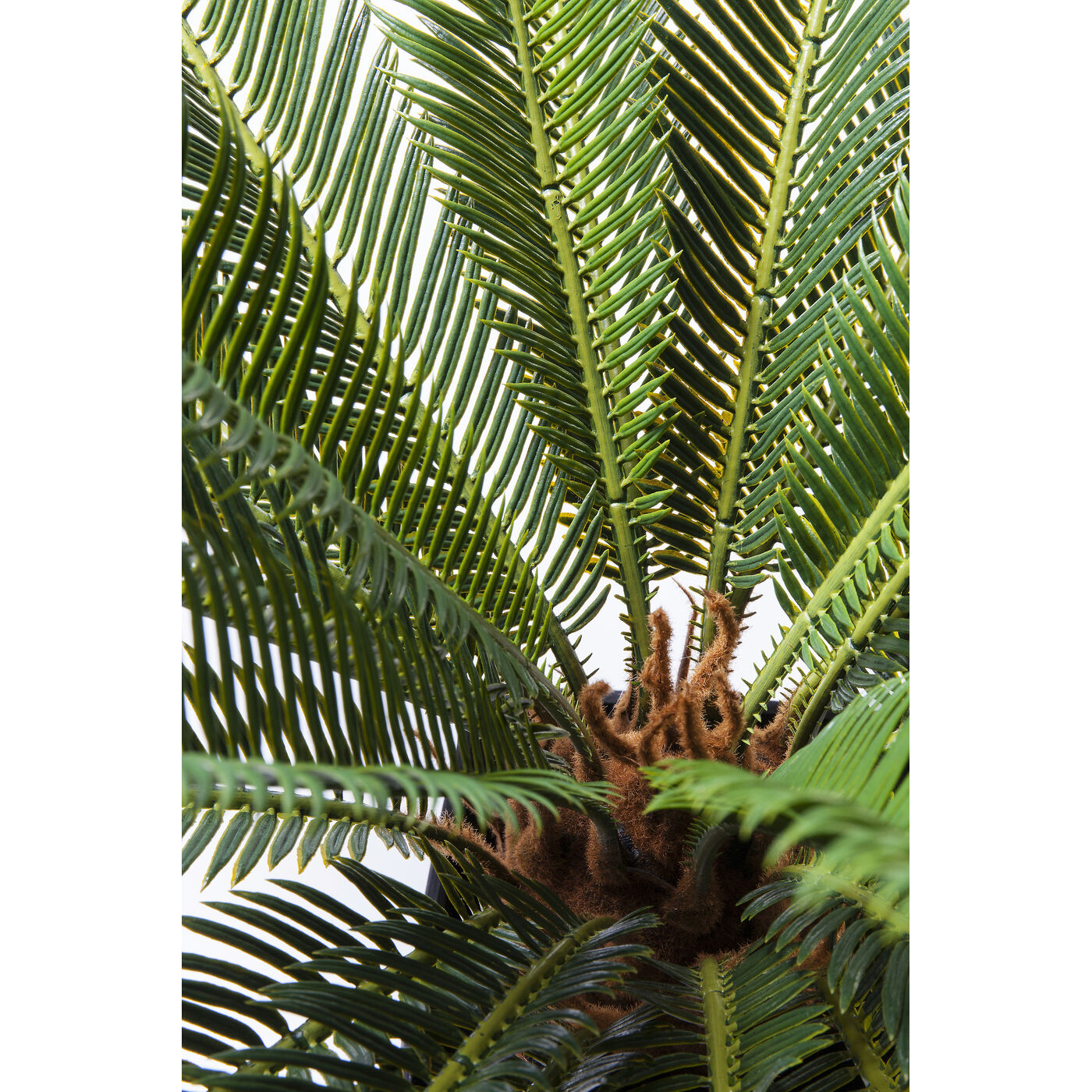 Растение декоративное Cycas Tree «Дерево цикас» 78 см