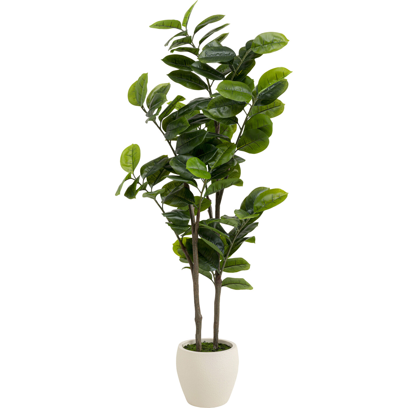 Растение декоративное Balata Tree «Дерево балата» 162 см от KARE Design