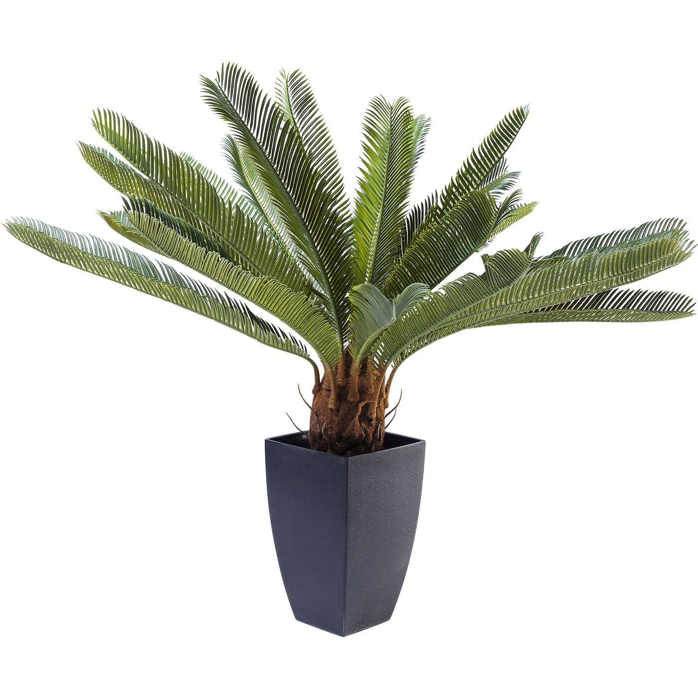 Растение декоративное Cycas Tree «Дерево цикас» 78 см от KARE Design