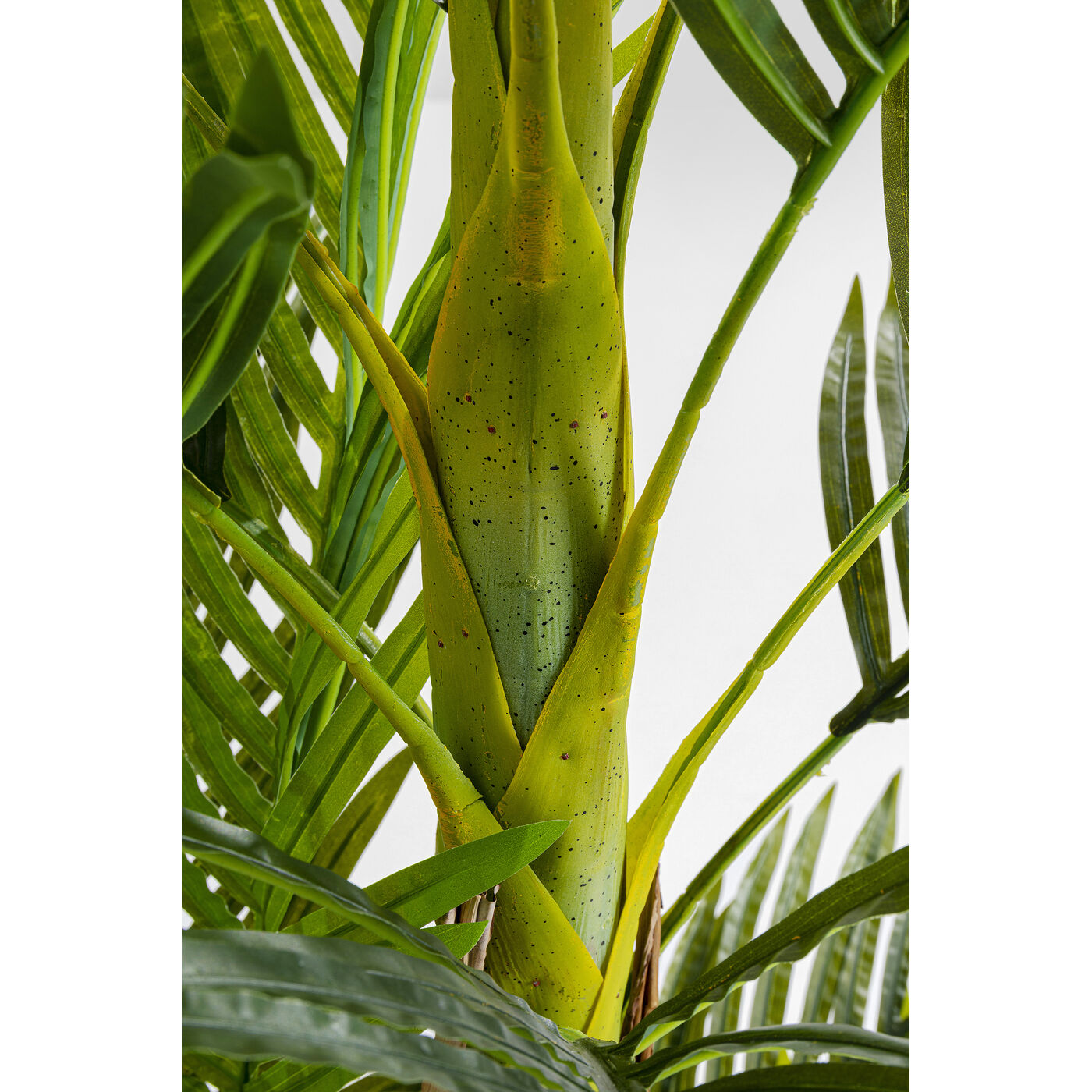 Растение декоративное Palm Tree 190 см от KARE Design