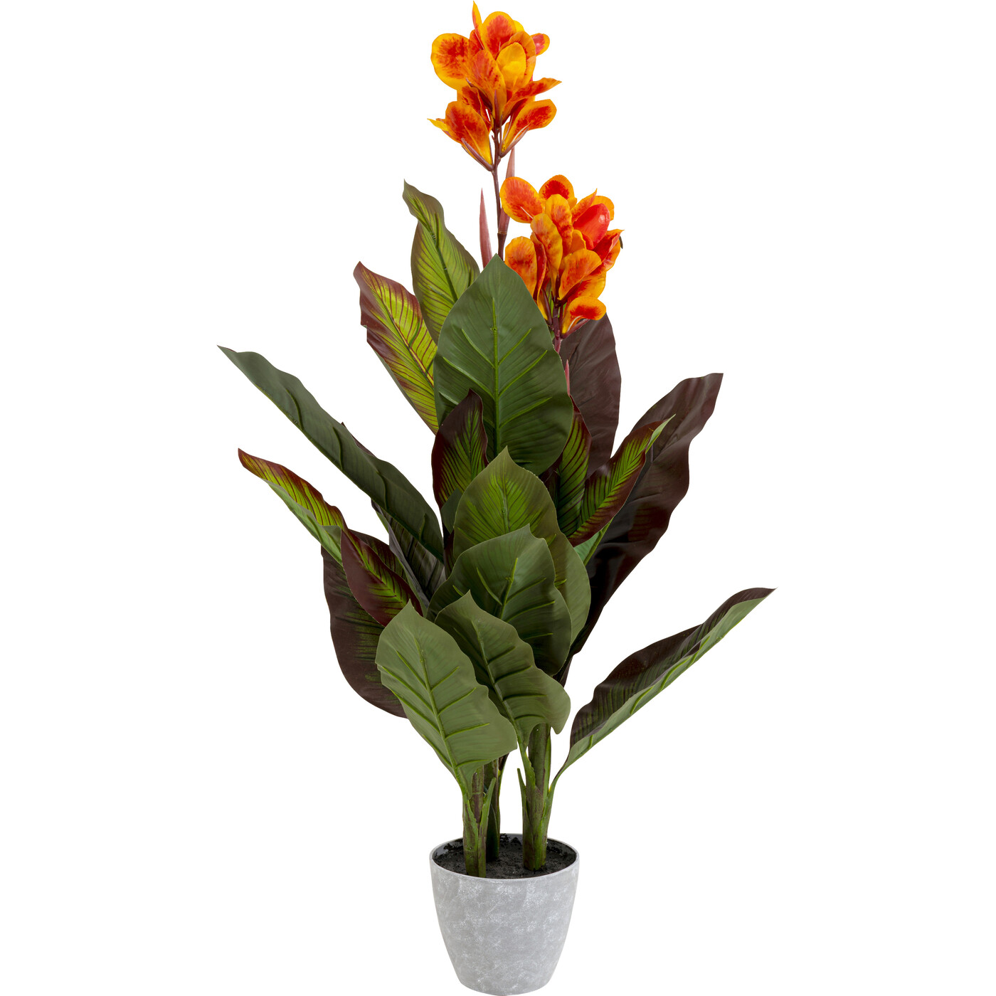 Растение декоративное Canna Lily «Канна-лилия» 115 см от KARE Design