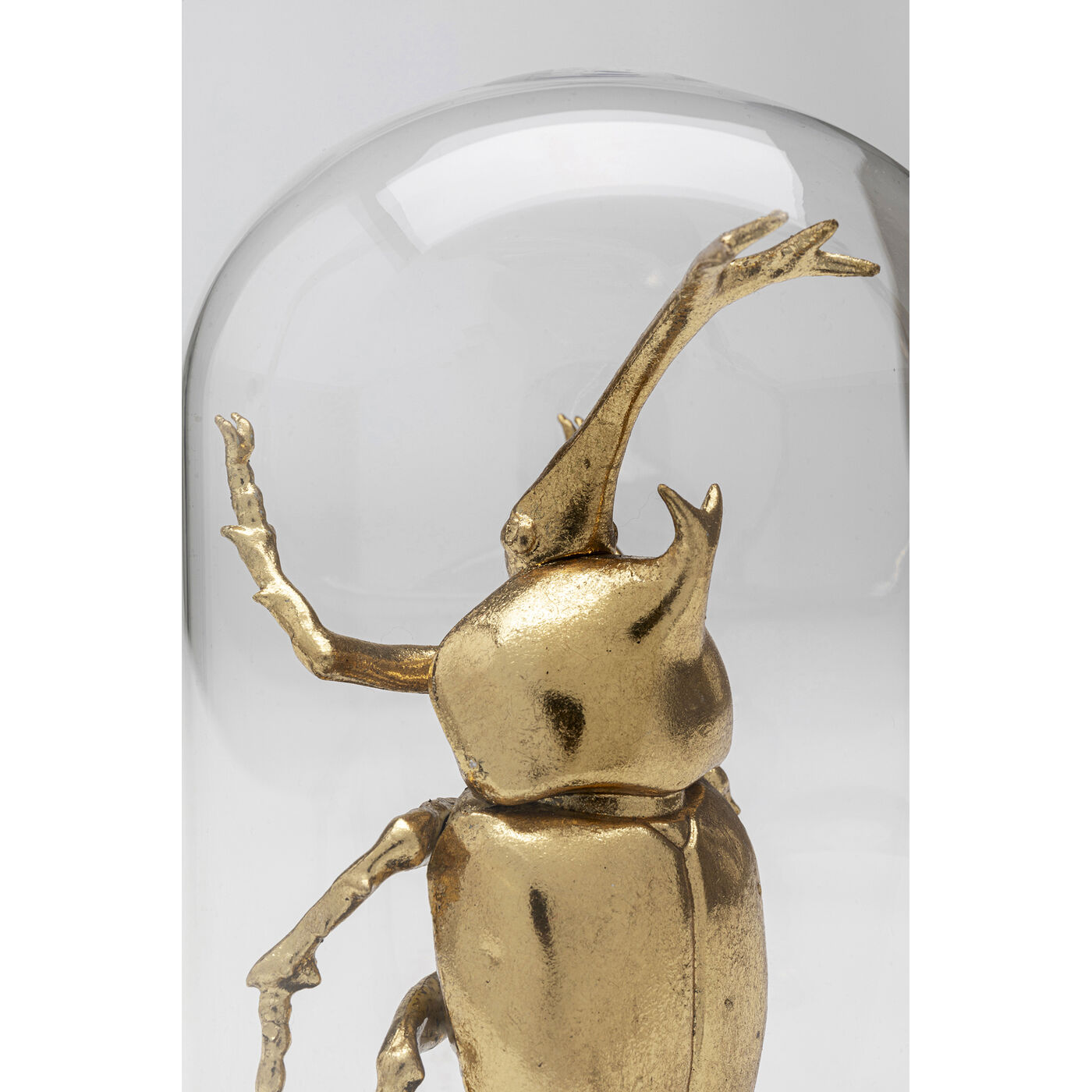 Объект декоративный Bell Jar Stag Beetle «Жук-олень под колпаком» 20 см от KARE Design