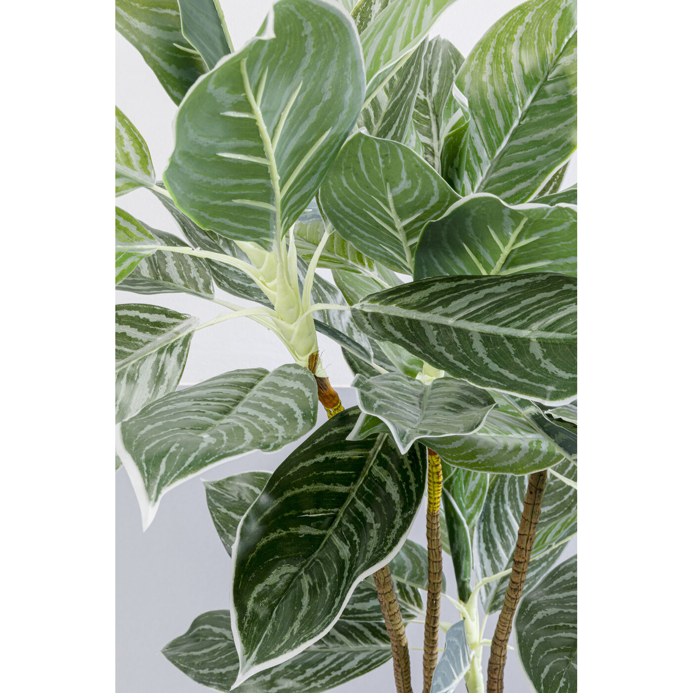 Растение декоративное Calathea «Калатея» 140 см от KARE Design