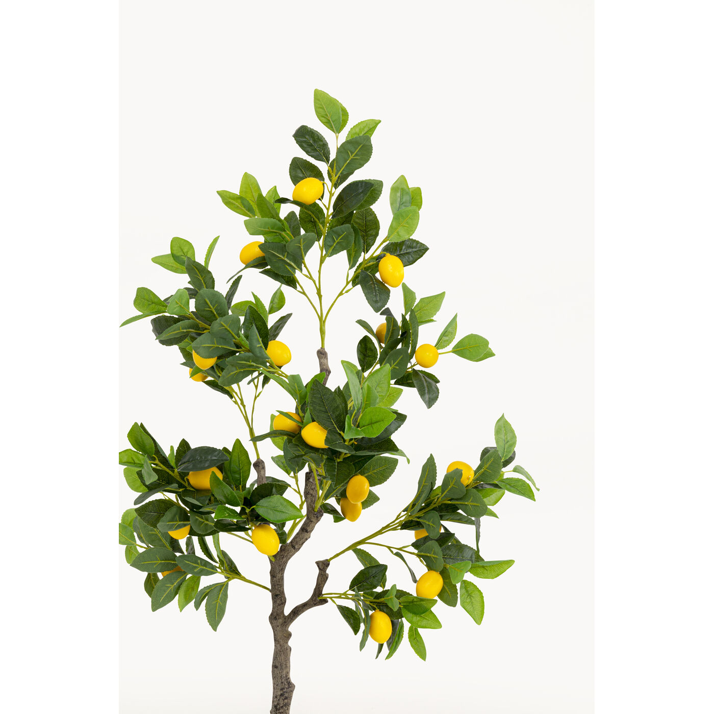 Растение декоративное Lemon Tree «Лимонное дерево» 120 см от KARE Design