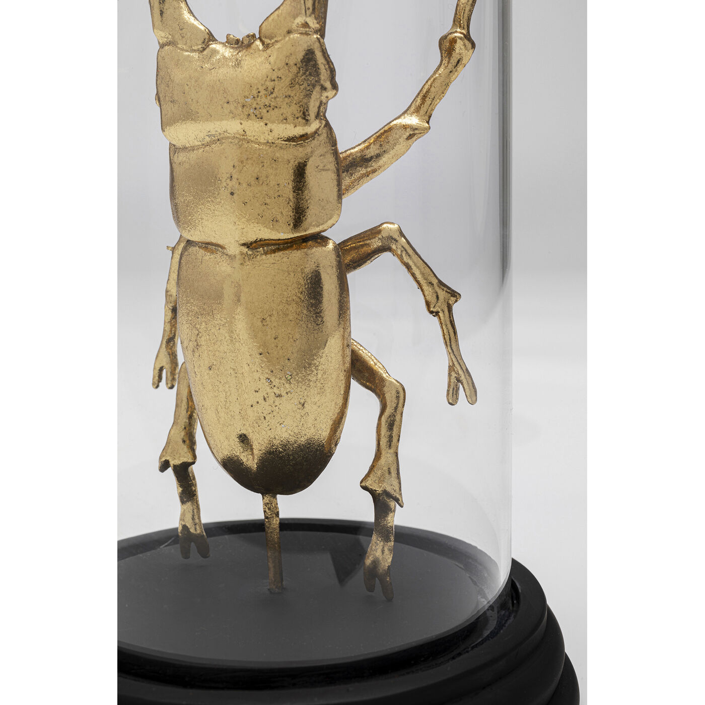Объект декоративный Bell Jar Hercules Beetle «Жук-геркулес под колпаком» 20 см от KARE Design