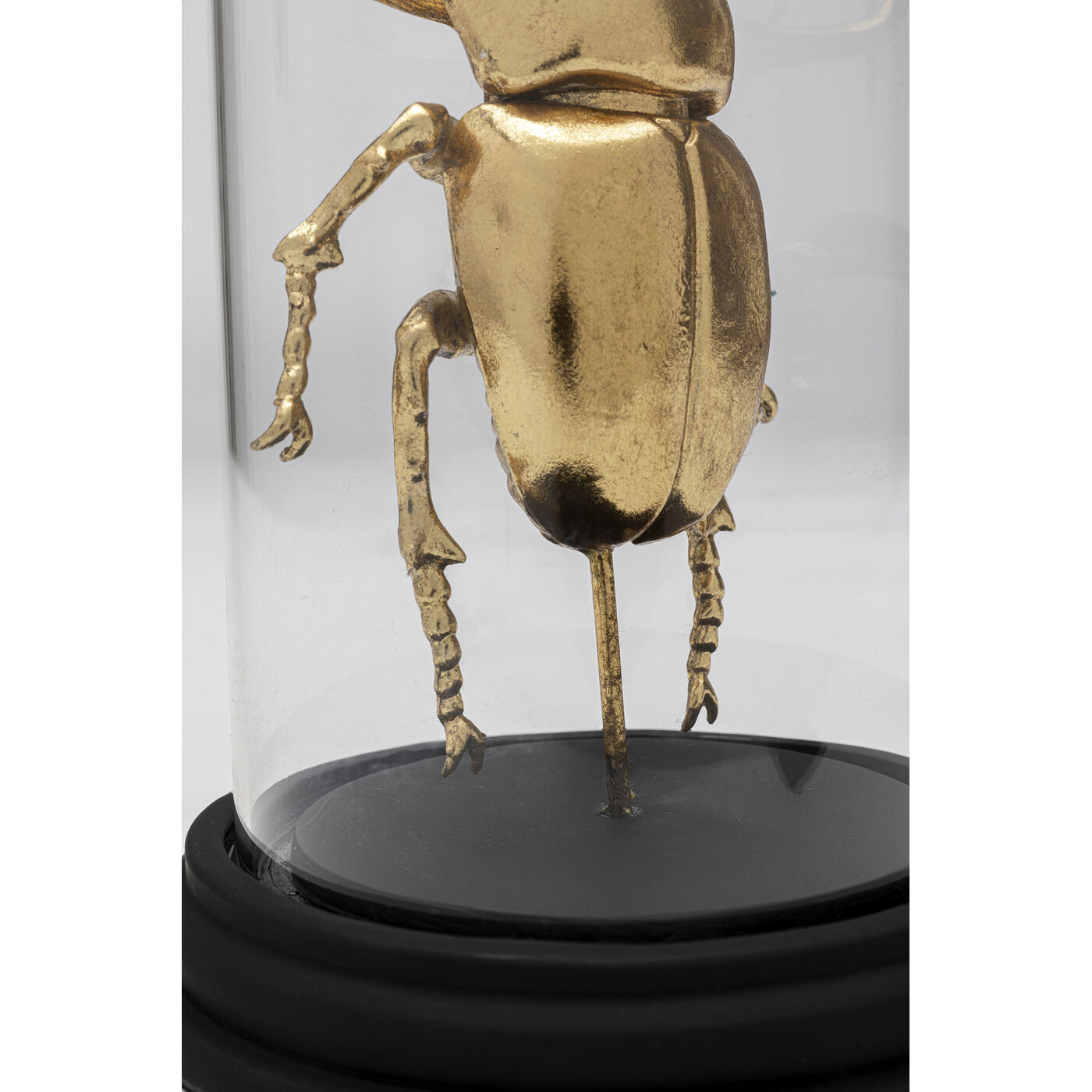 Объект декоративный Bell Jar Stag Beetle «Жук-олень под колпаком» 20 см от KARE Design