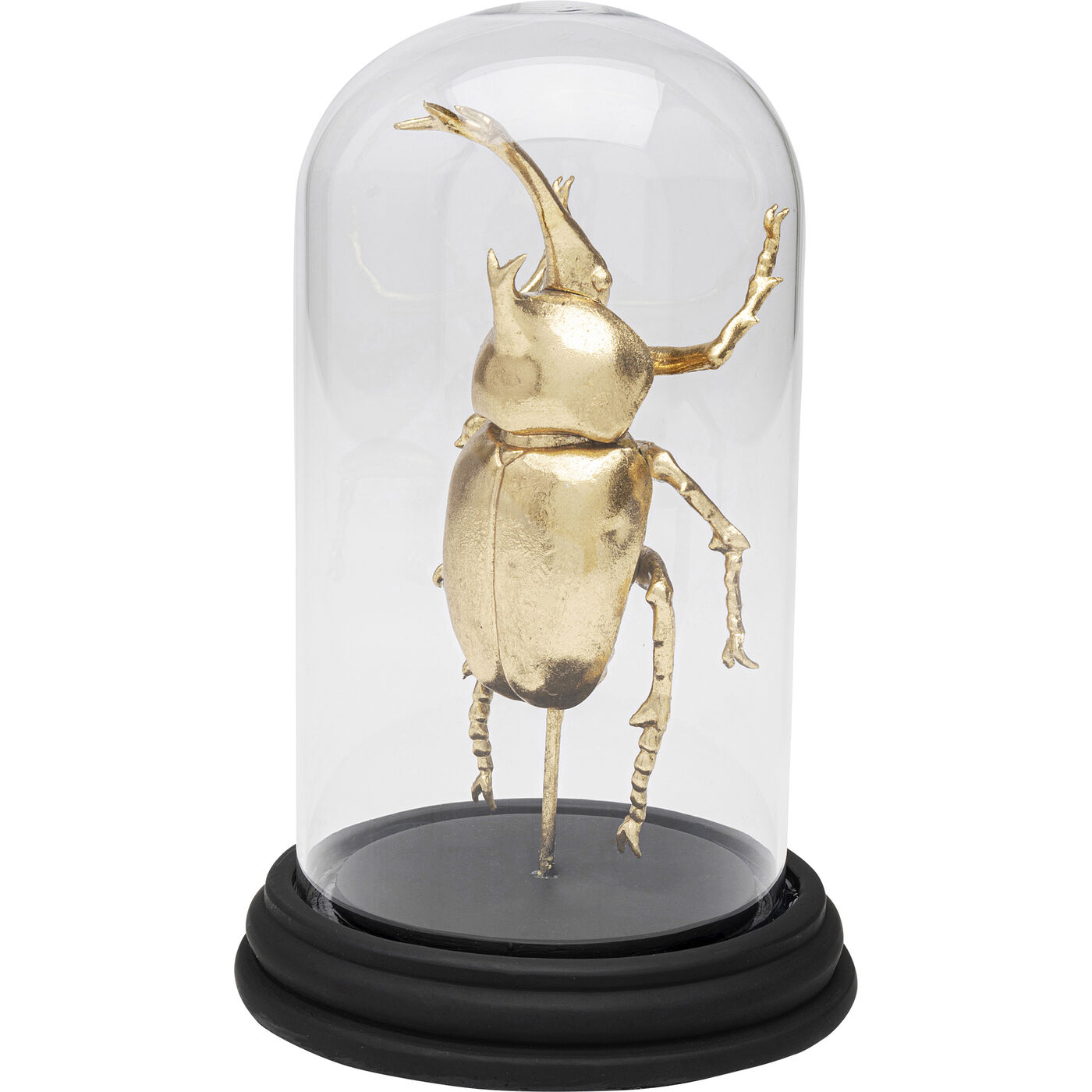 Объект декоративный Bell Jar Stag Beetle «Жук-олень под колпаком» 20 см от KARE Design