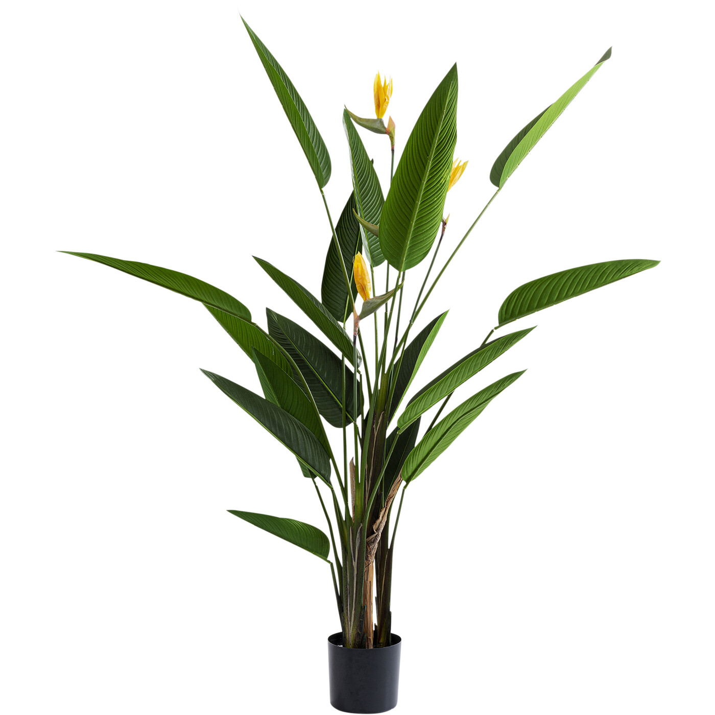 Растение декоративное Paradise Flowers «Райские цветы» 190 см от KARE Design