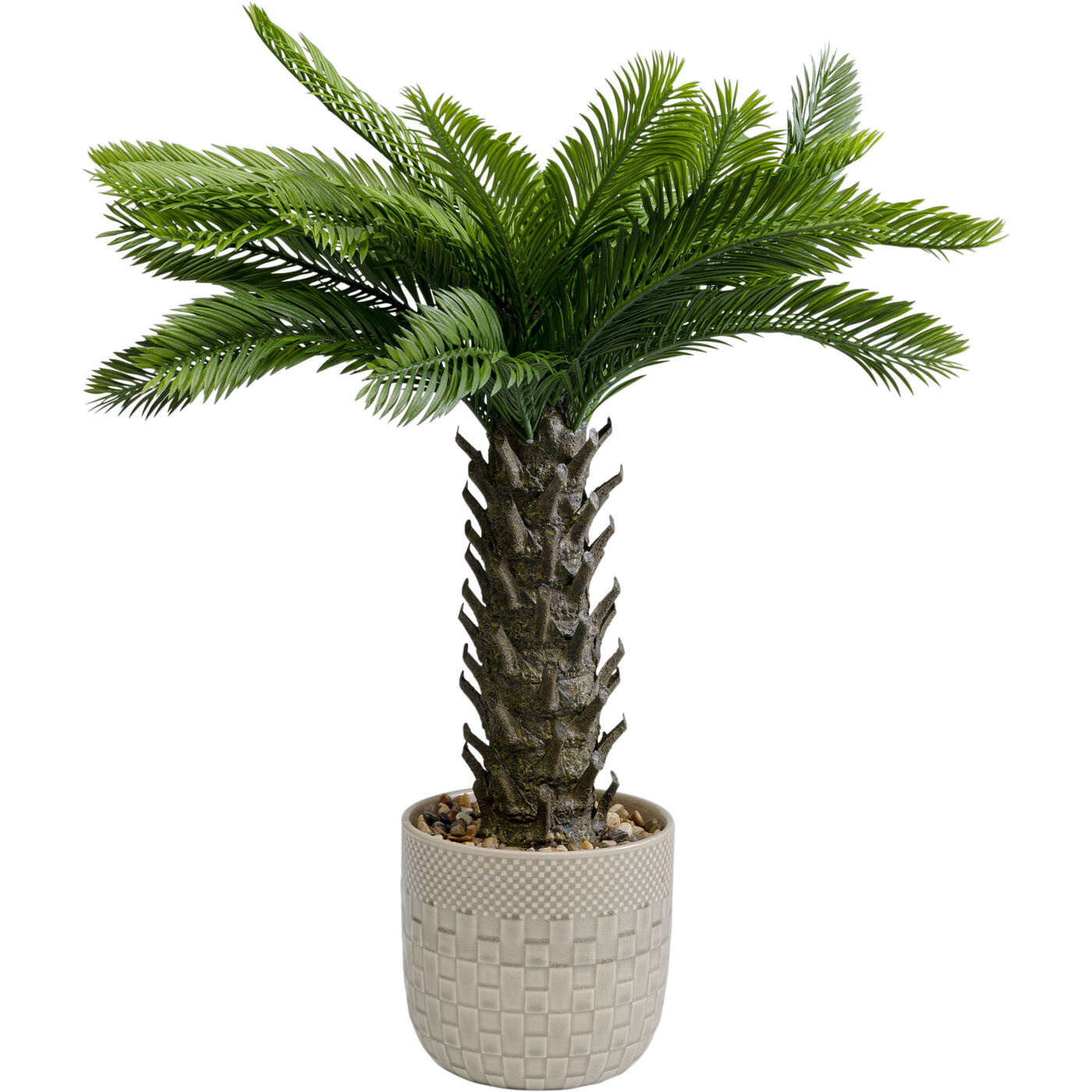Растение декоративное Cycas «Цикас» 70 см от KARE Design