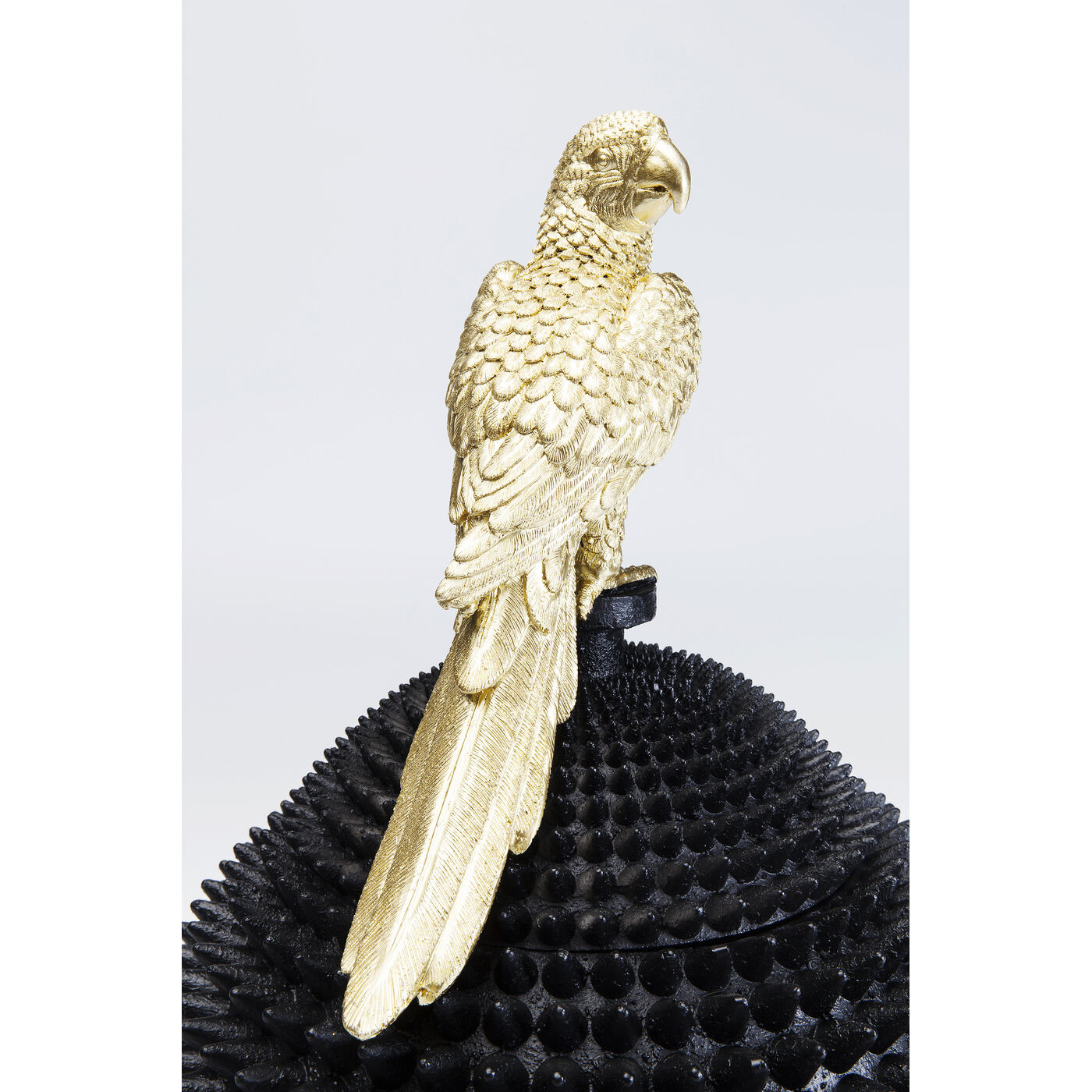 Шкатулка Parrot «Попугай» от KARE Design