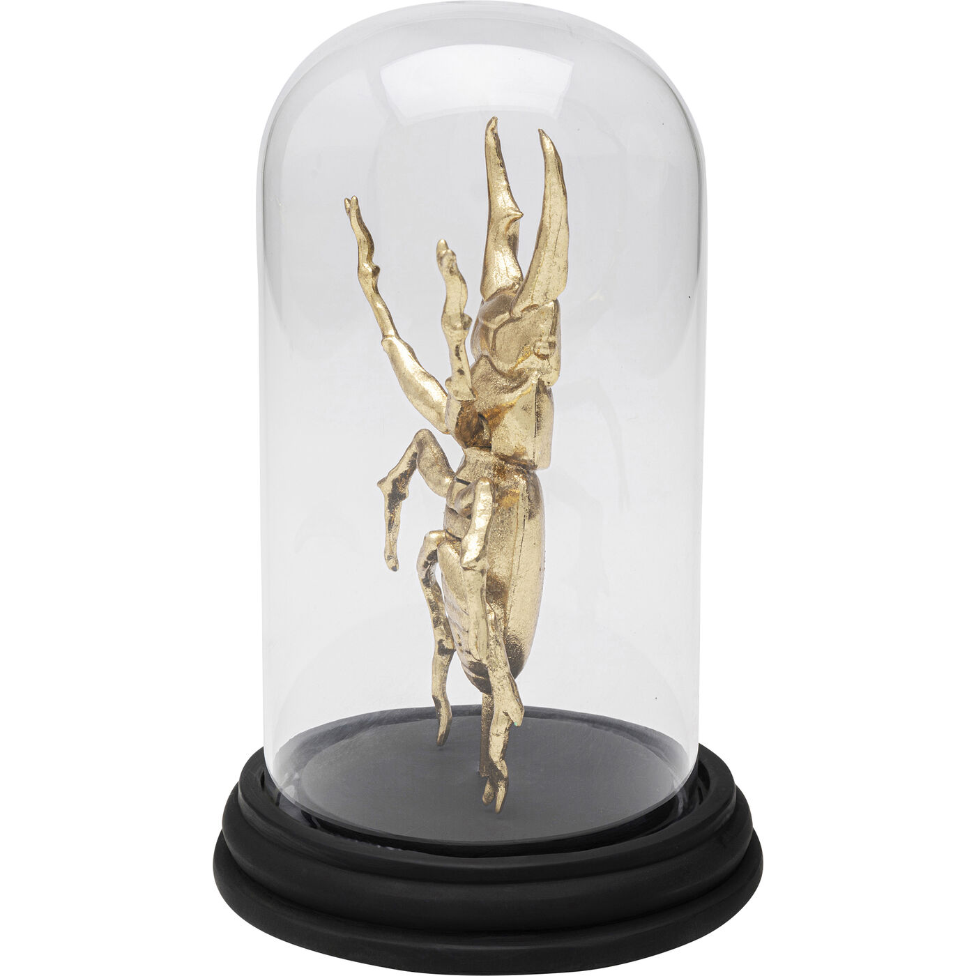 Объект декоративный Bell Jar Hercules Beetle «Жук-геркулес под колпаком» 20 см от KARE Design