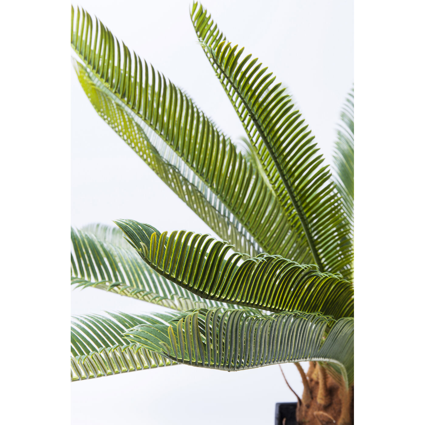 Растение декоративное Cycas Tree «Дерево цикас» 78 см от KARE Design