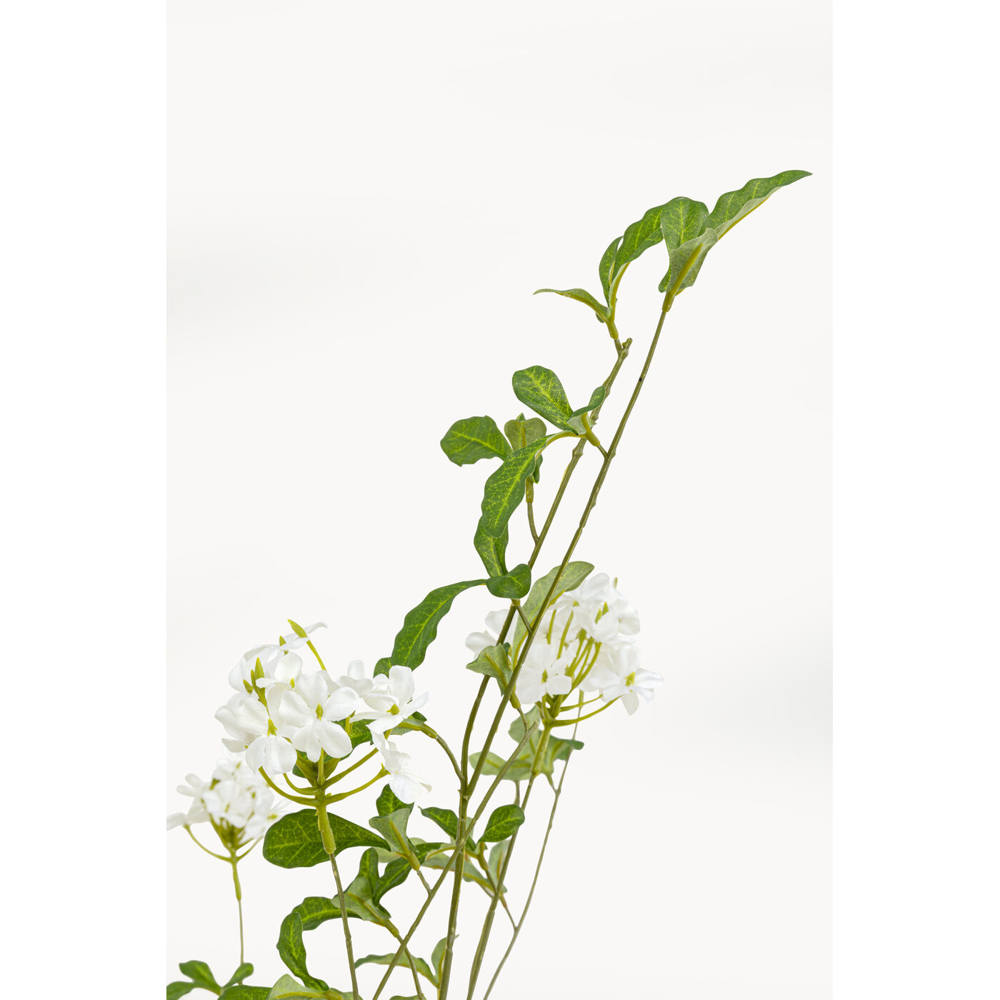 Растение декоративное Plum Tree «Сливовое дерево» 152 см от KARE Design