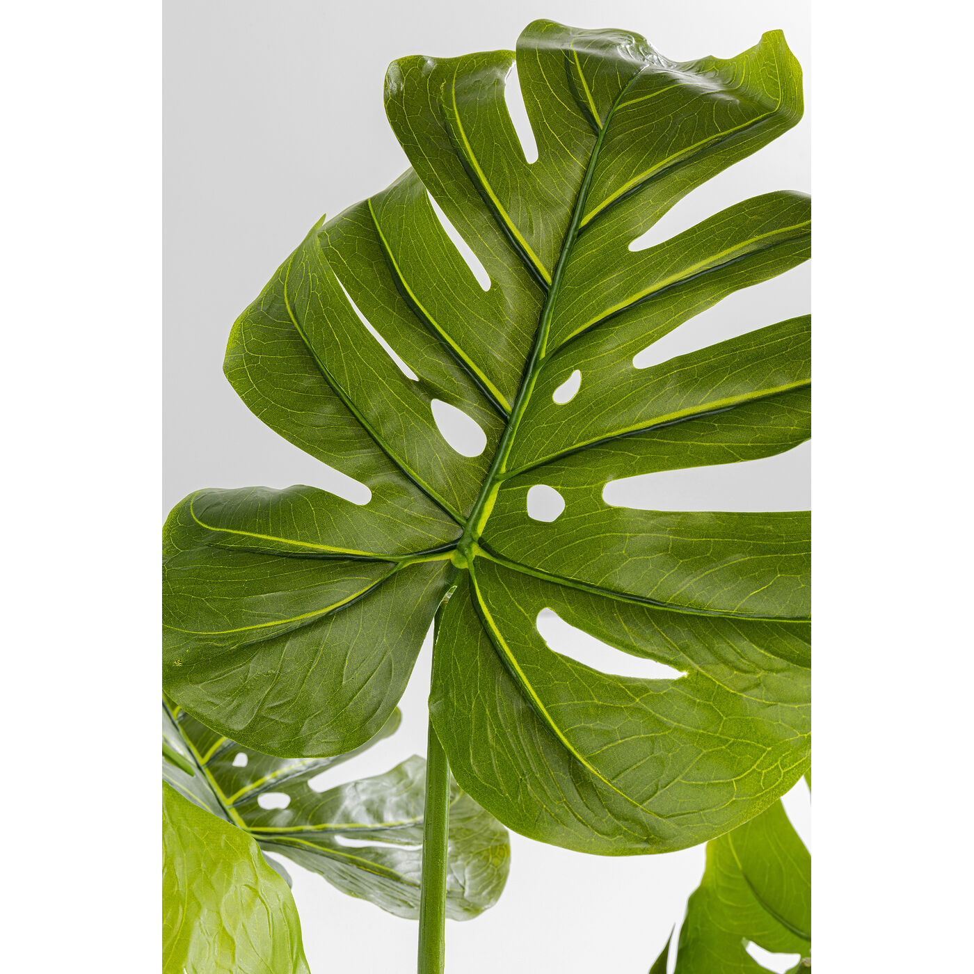 Растение декоративное Monstera «Монстера» 110 см от KARE Design