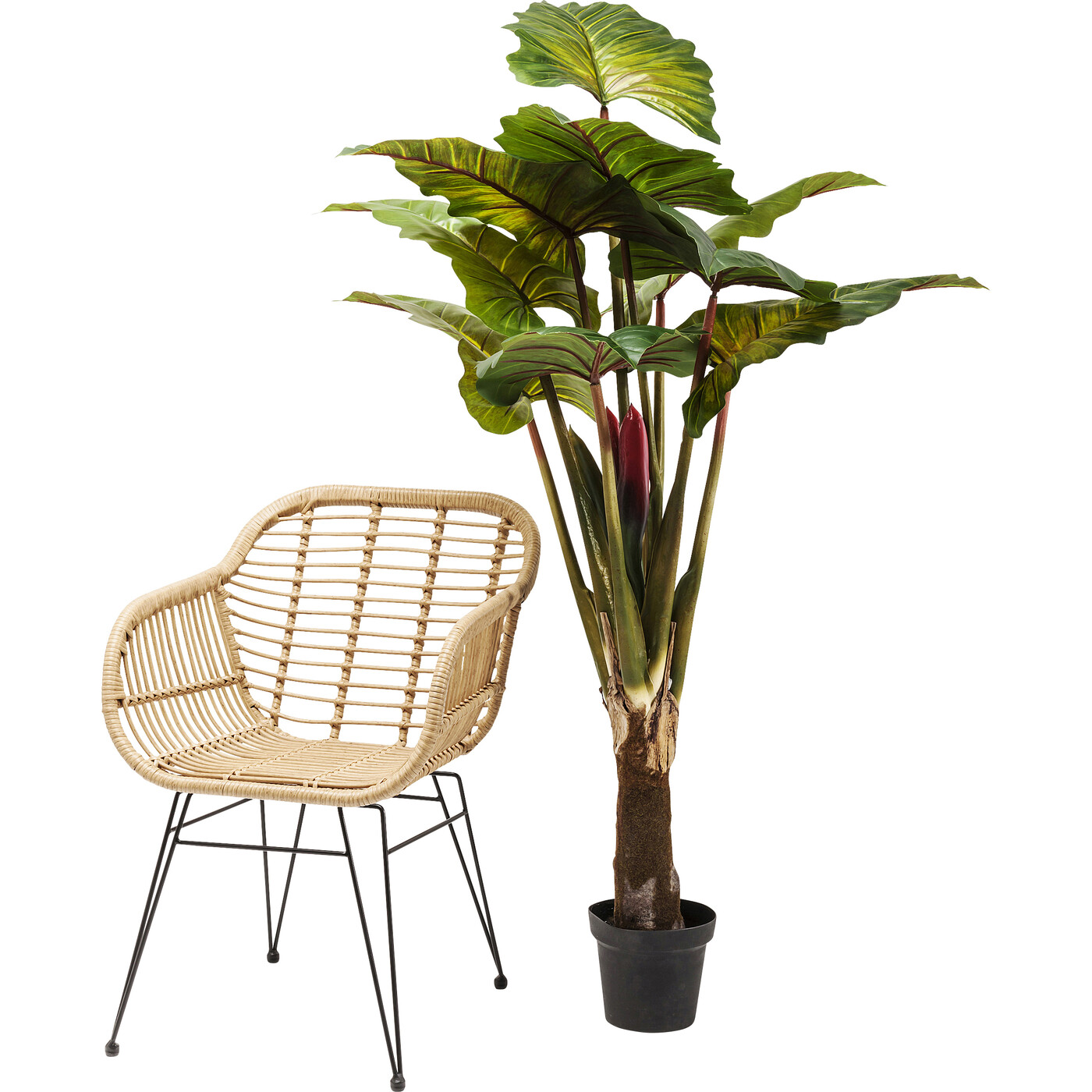 Растение декоративное Rainforest «Тропический лес» 160 см, Зелёный от KARE Design