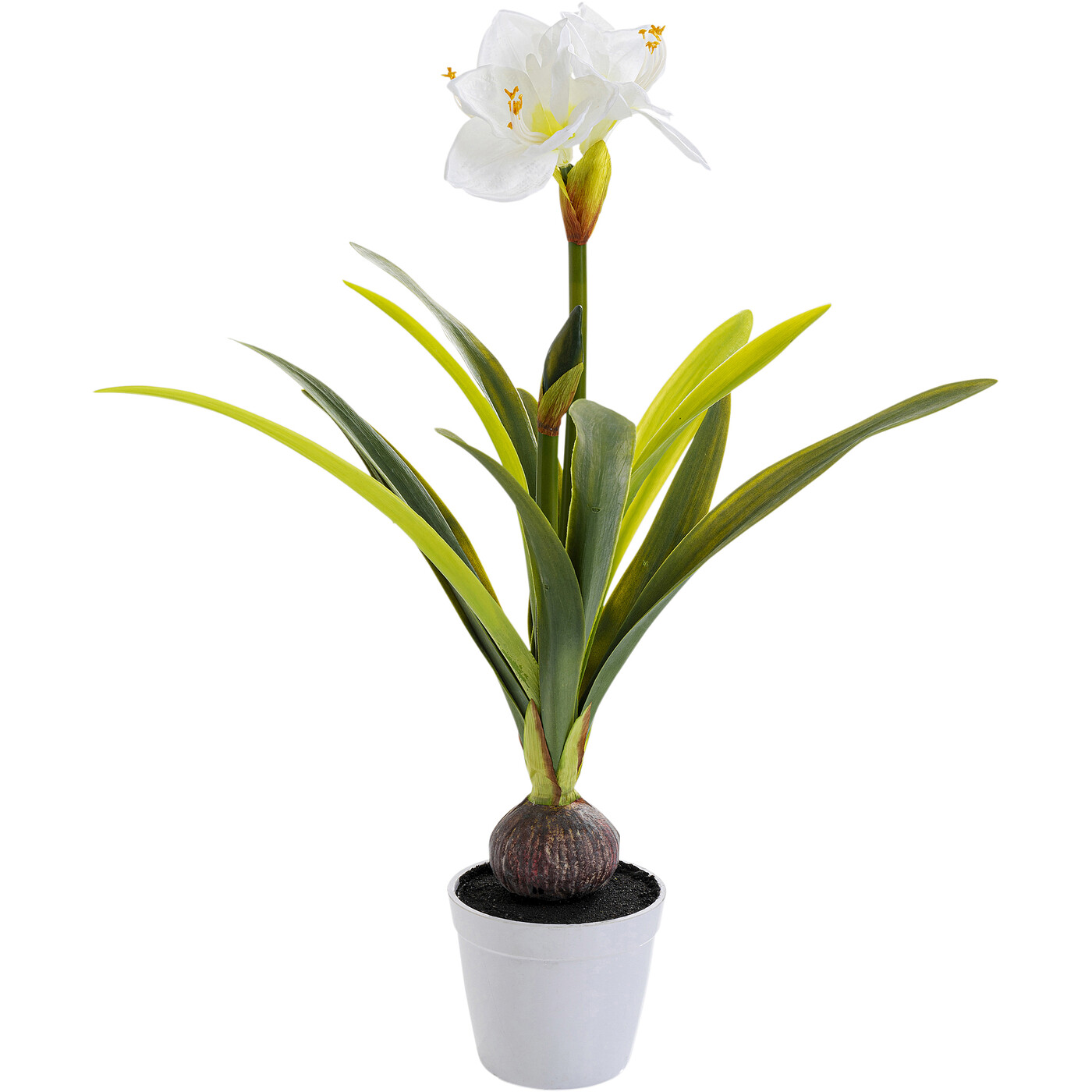 Декоративный элемент Amaryllis «Амариллис» 78 см, Белый от KARE Design