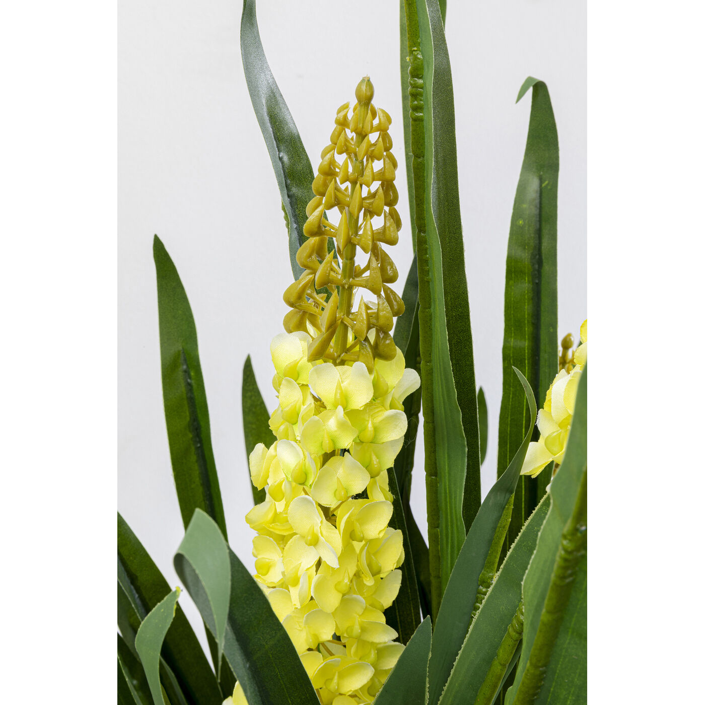 Растение декоративное Rhynchostylis «Ринхостилис» 55 см от KARE Design