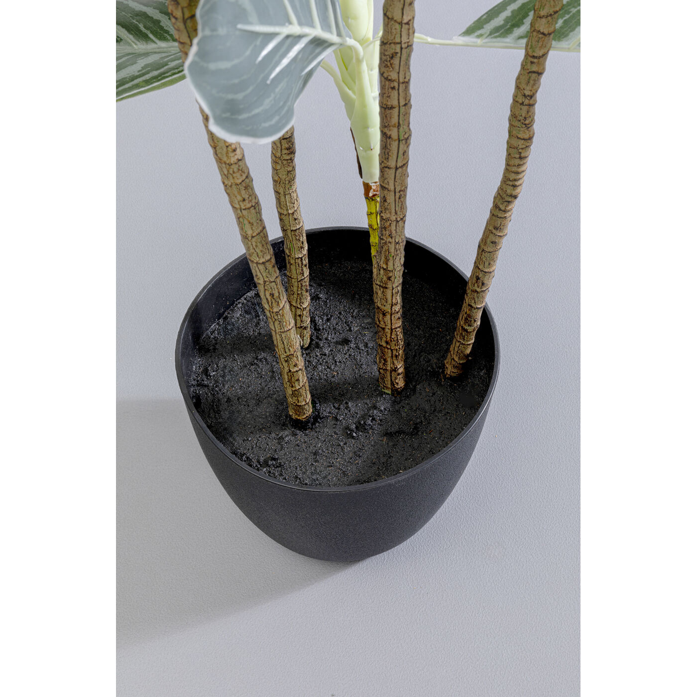 Растение декоративное Calathea «Калатея» 140 см от KARE Design