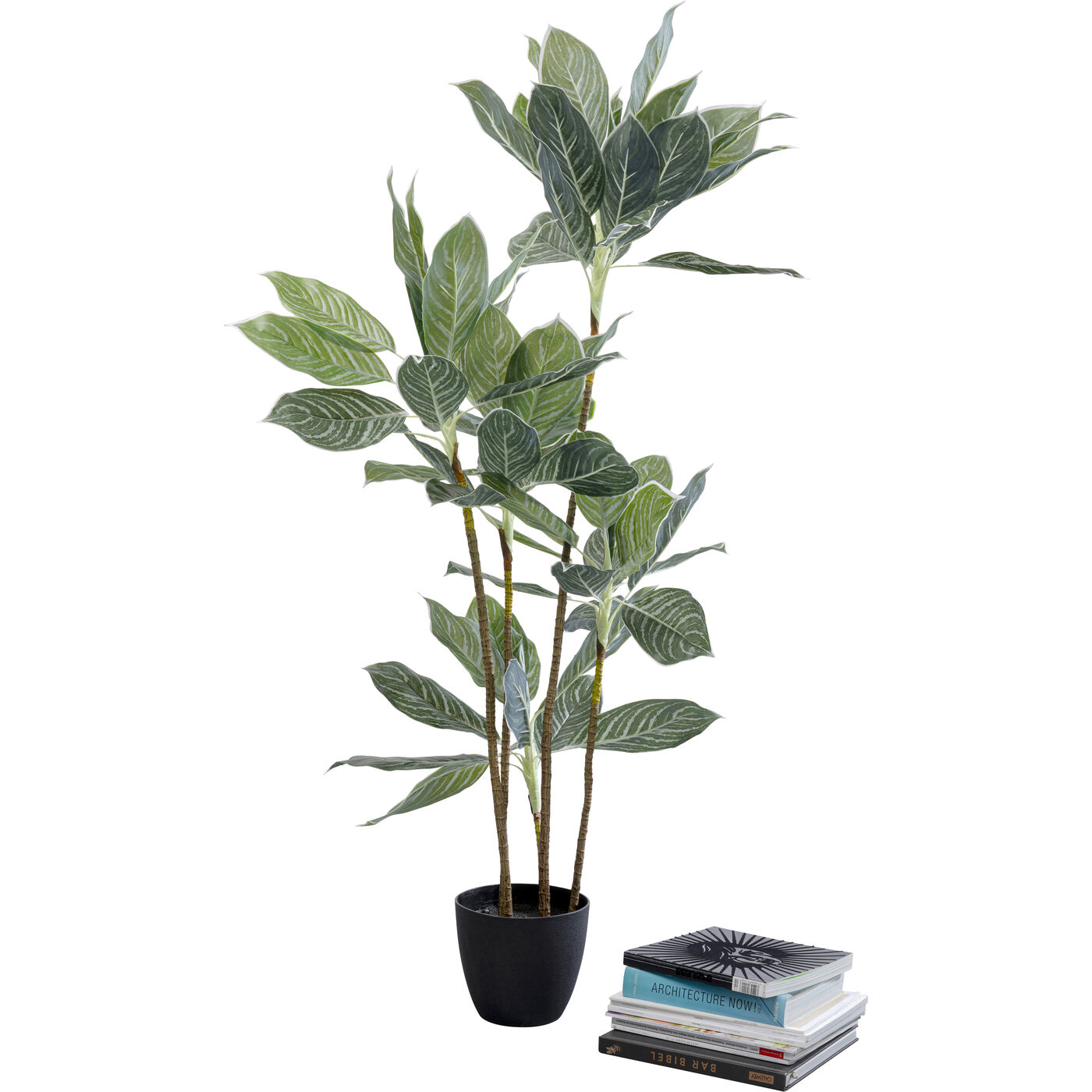Растение декоративное Calathea «Калатея» 140 см от KARE Design