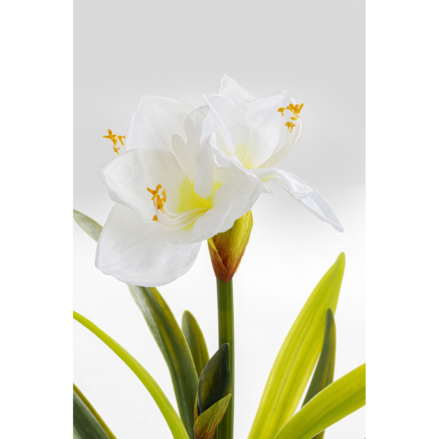 Декоративный элемент Amaryllis «Амариллис» 78 см, Белый от KARE Design