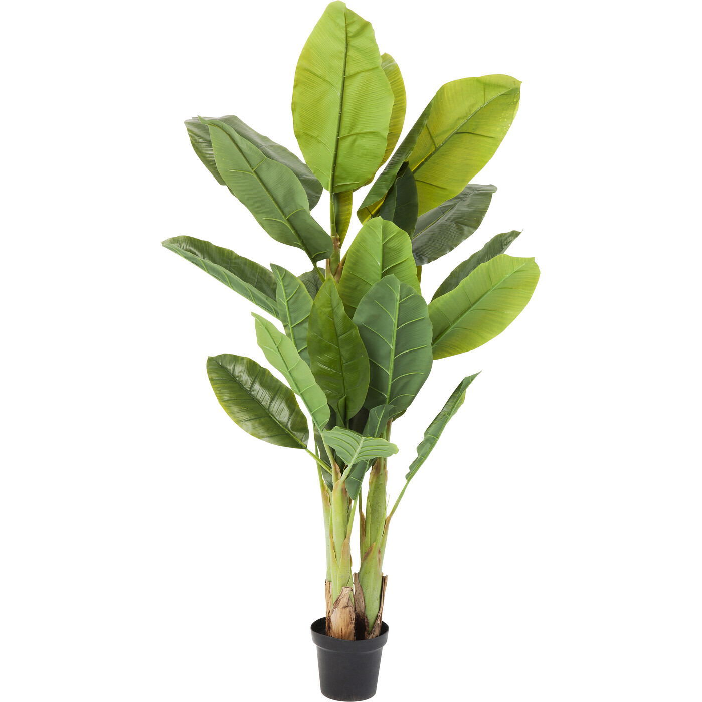 Растение искусственное Banana Tree «Банановое дерево» 180 см от KARE Design