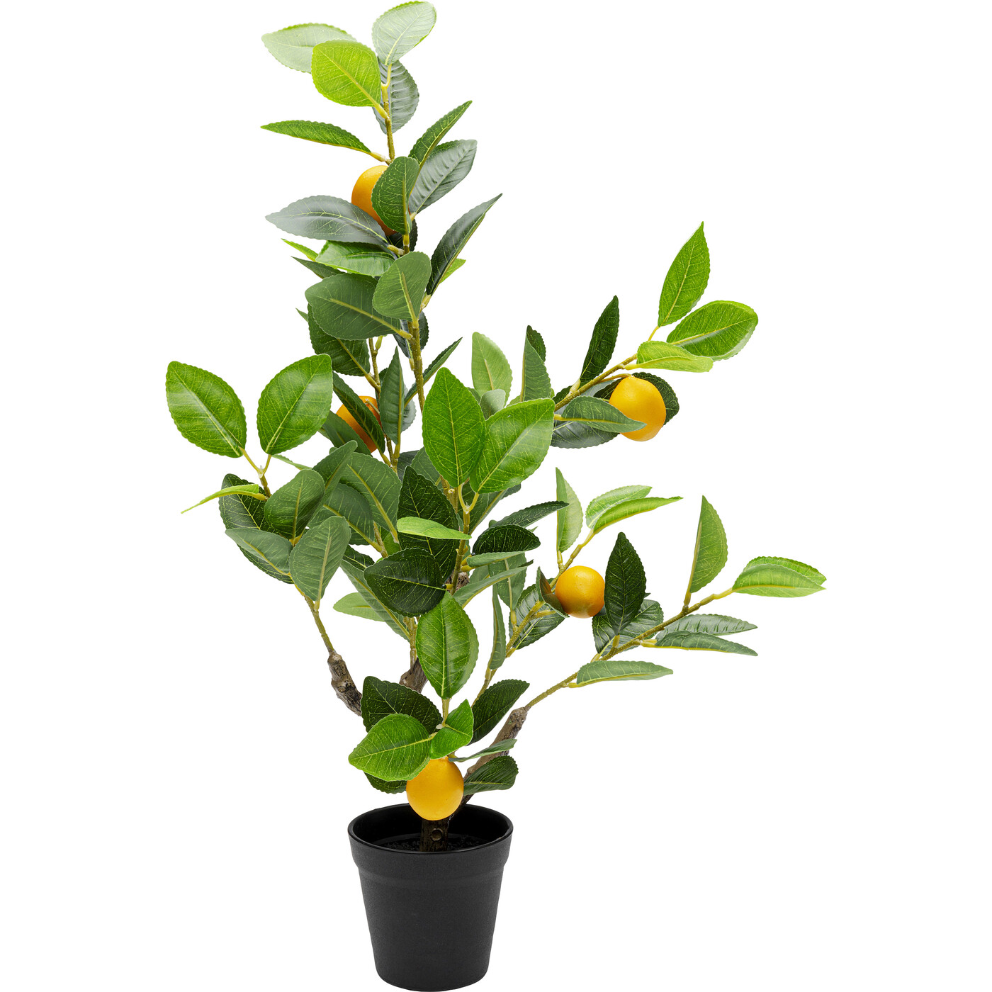 Растение декоративное Lemon Tree «Лимонное дерево» 60 см от KARE Design