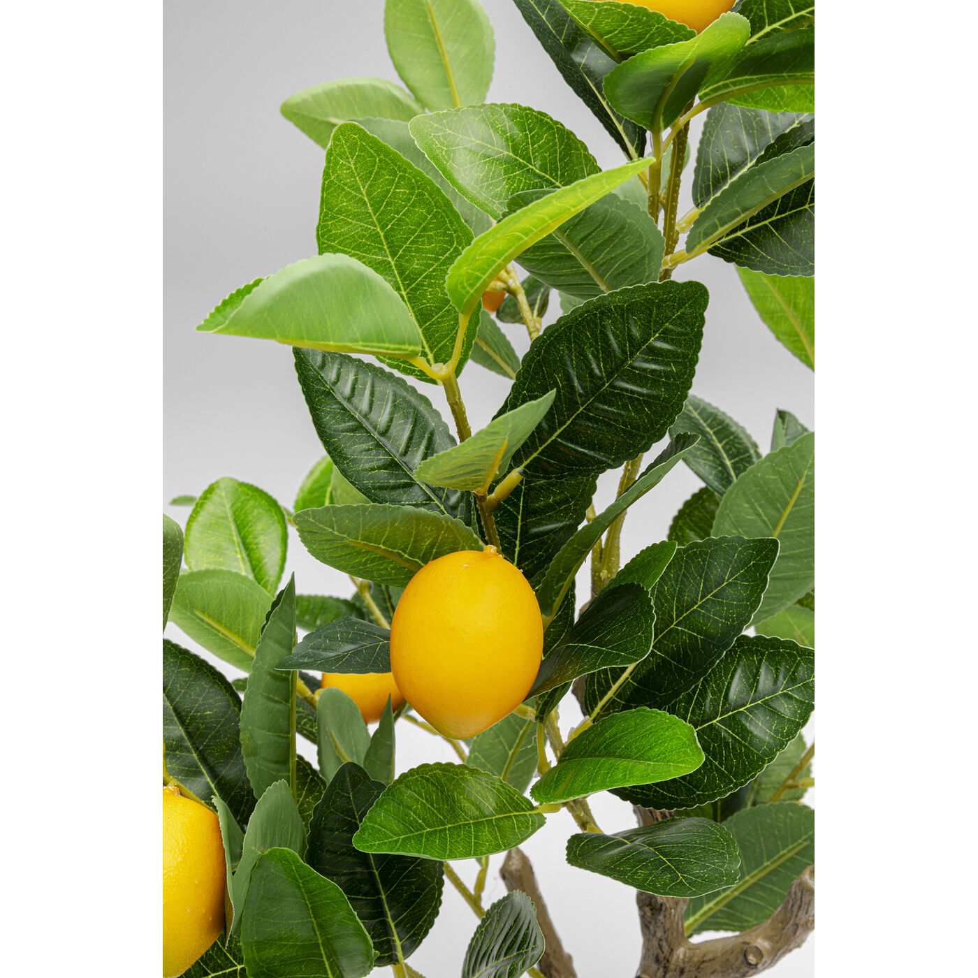 Растение декоративное Lemon Tree «Лимонное дерево» 60 см от KARE Design