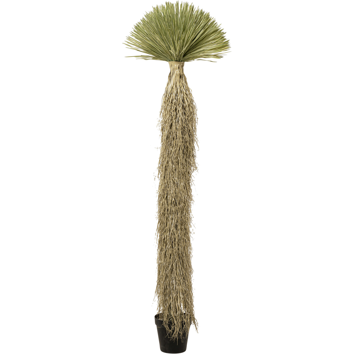 Растение декоративное Yucca Rostrata «Юкка Рострата» 240 см от KARE Design