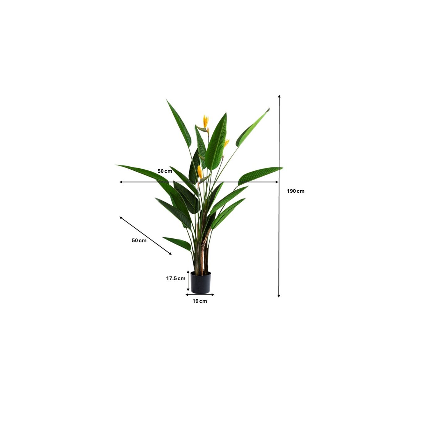 Растение декоративное Paradise Flowers «Райские цветы» 190 см от KARE Design