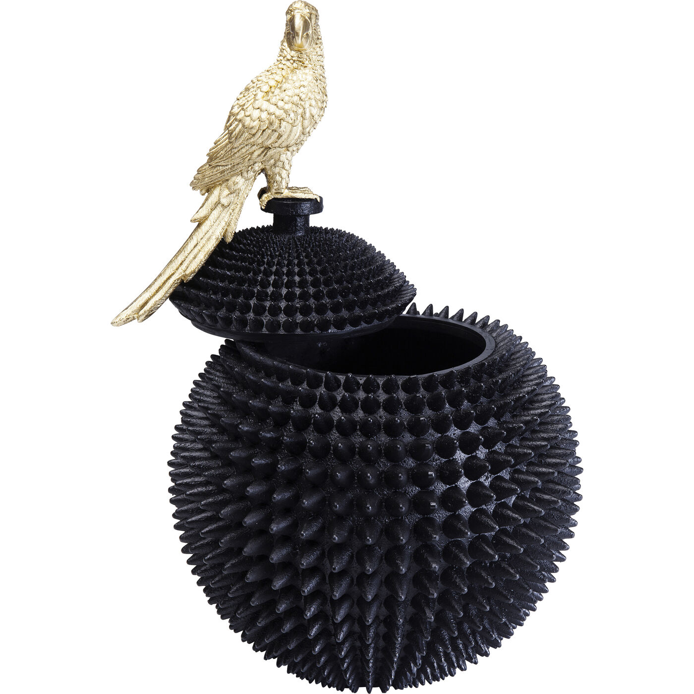 Шкатулка Parrot «Попугай» от KARE Design